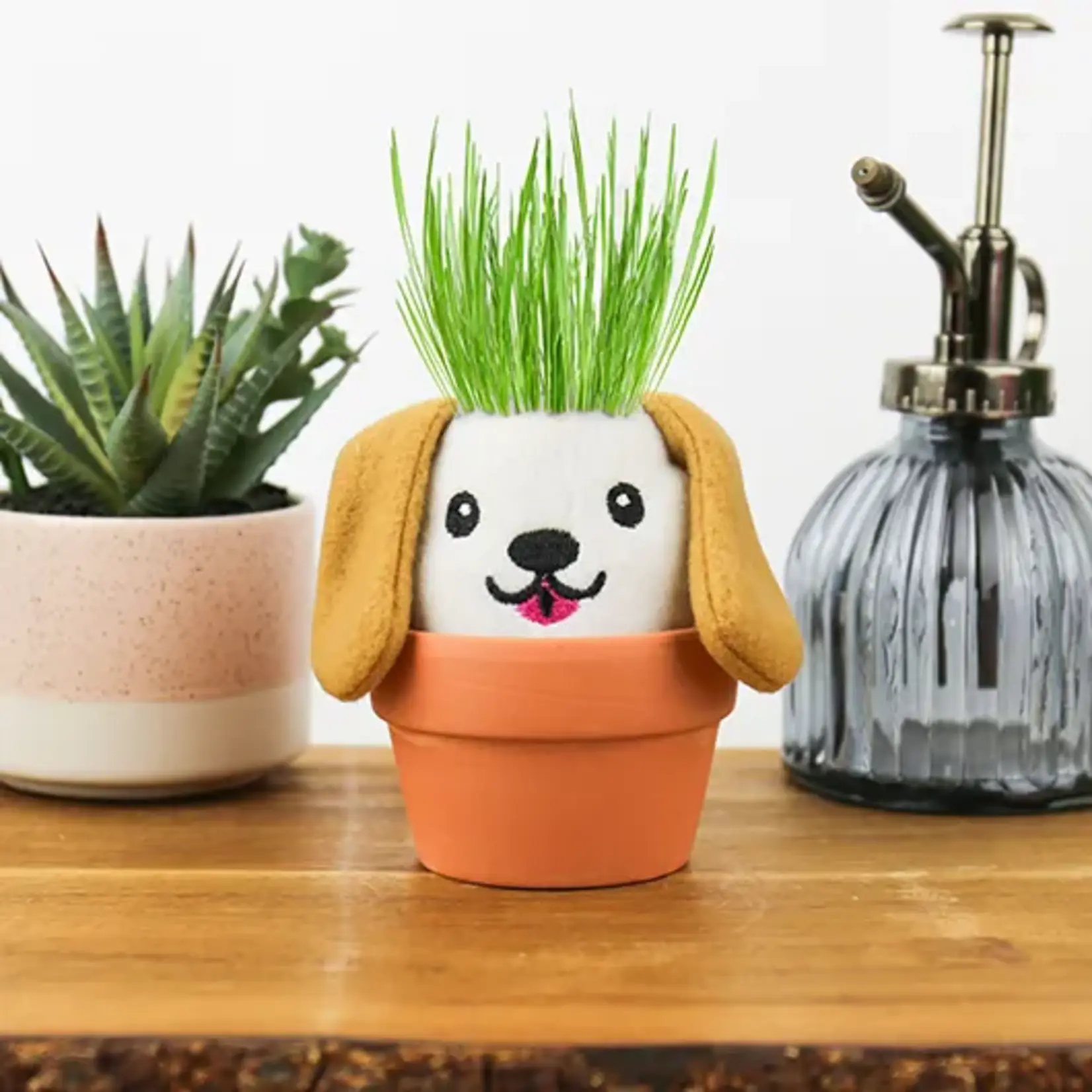 Gift Republic Dog Garden Grow Pal