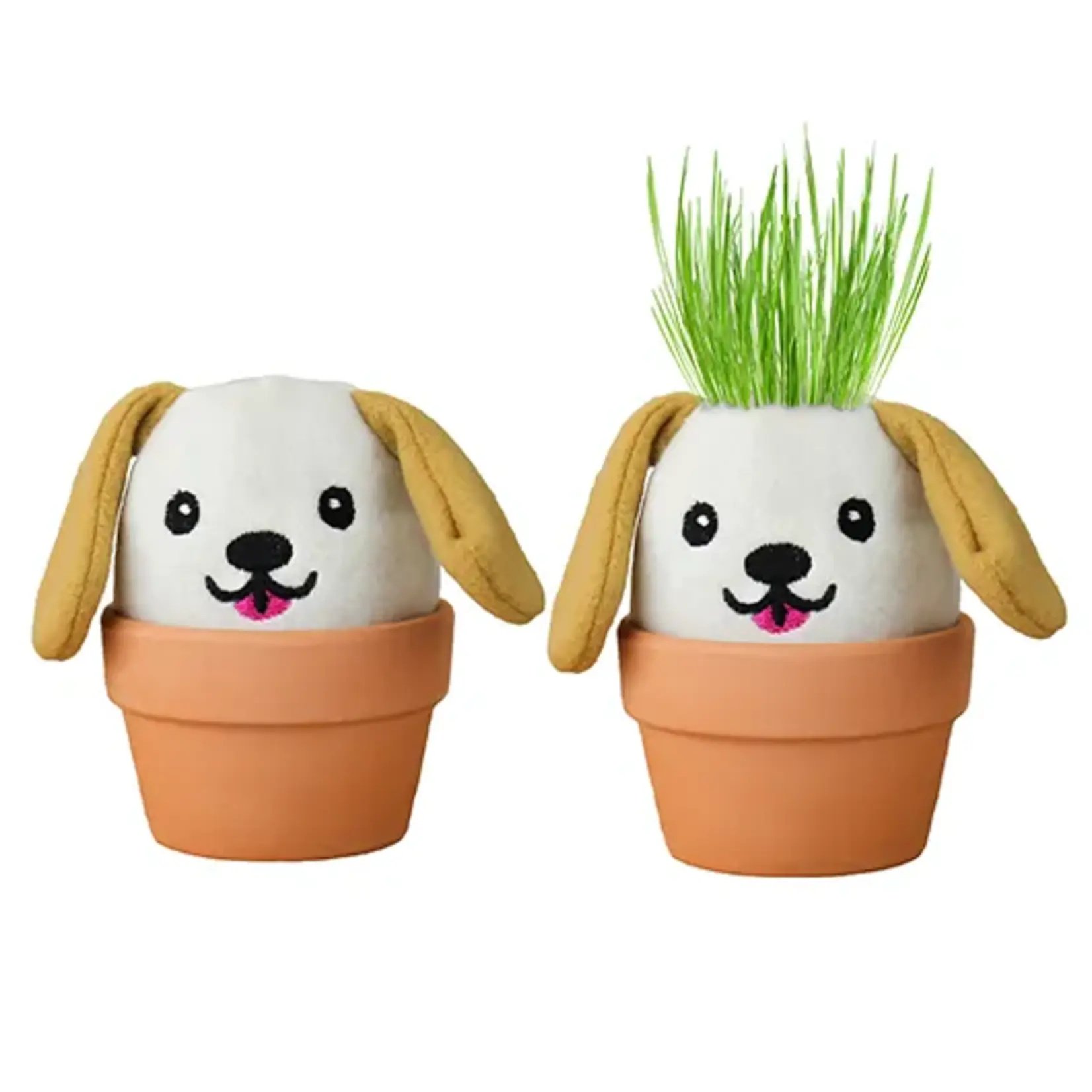 Gift Republic Dog Garden Grow Pal