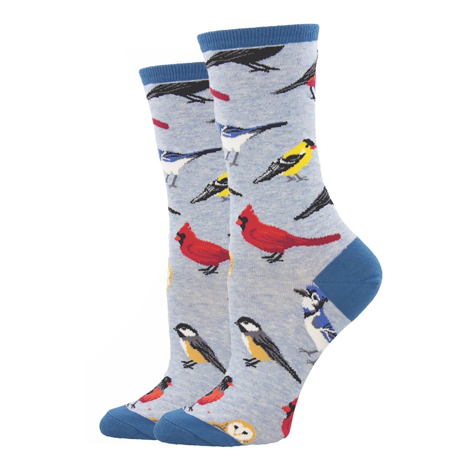 Socksmith Bird Is the Word Blue Ladies' Socks