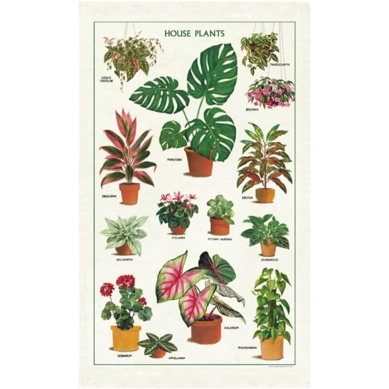 Cavallini House Plants Tea Towel