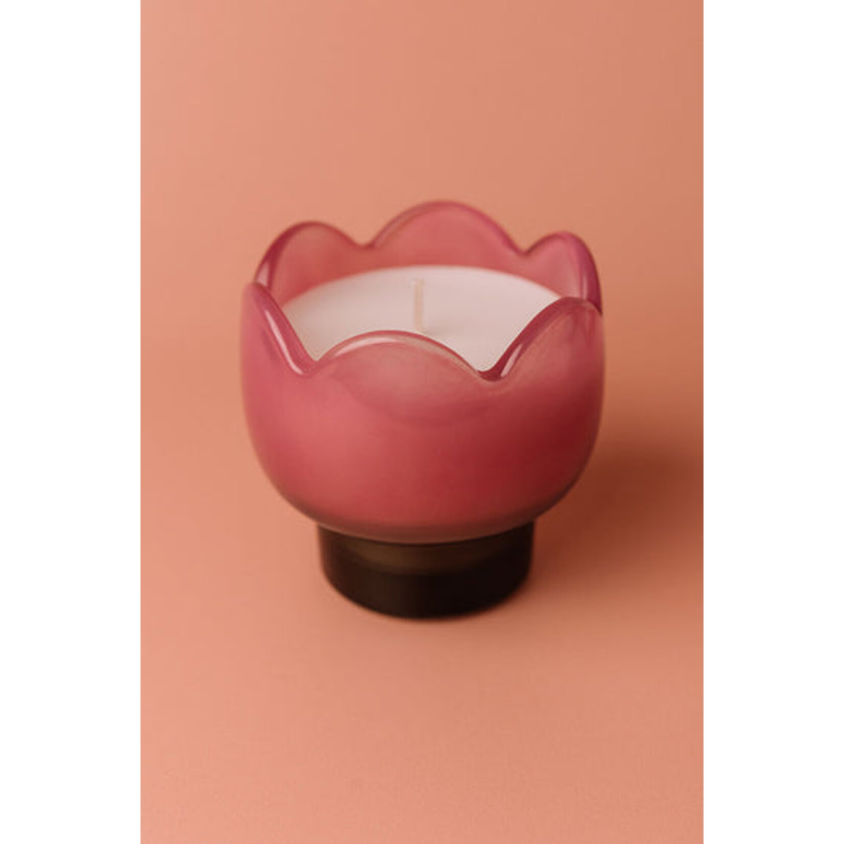 PADDYWAX Tulip Glass in Purple Bronzed Gardenia