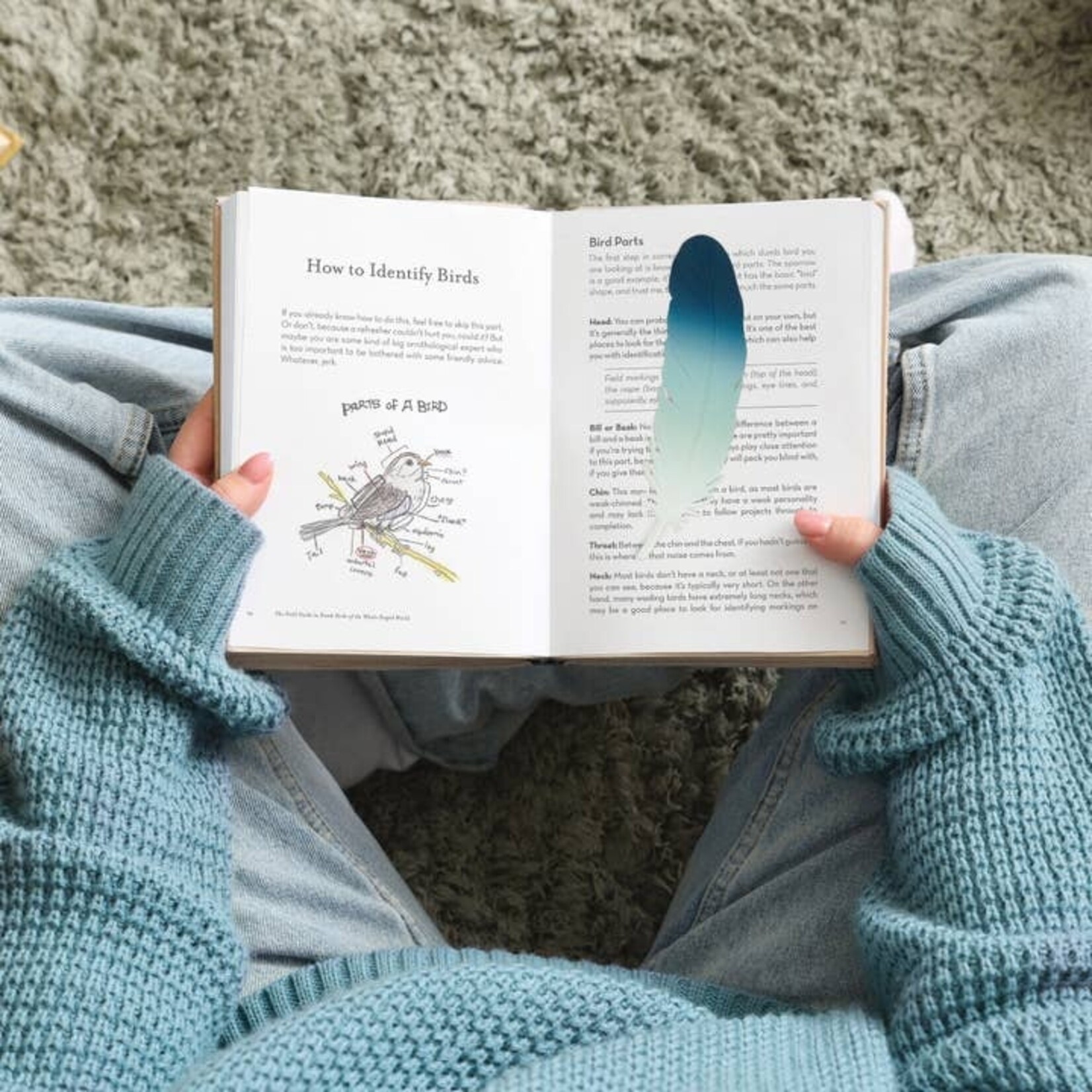 Fred & Friends Tale Feather Bookmark