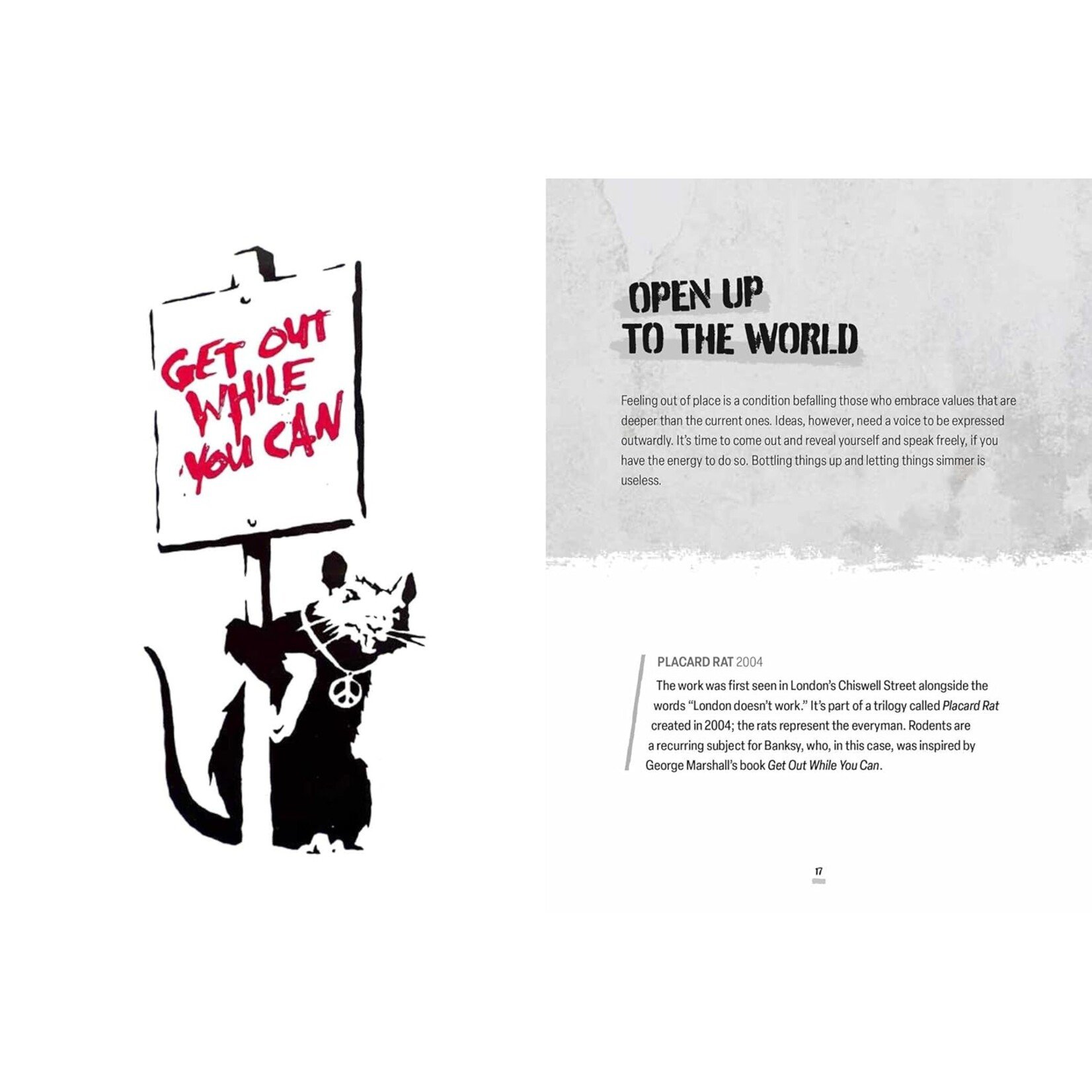 Simon and Schuster Banksy Wisdom: 40 Messages Through Street Art