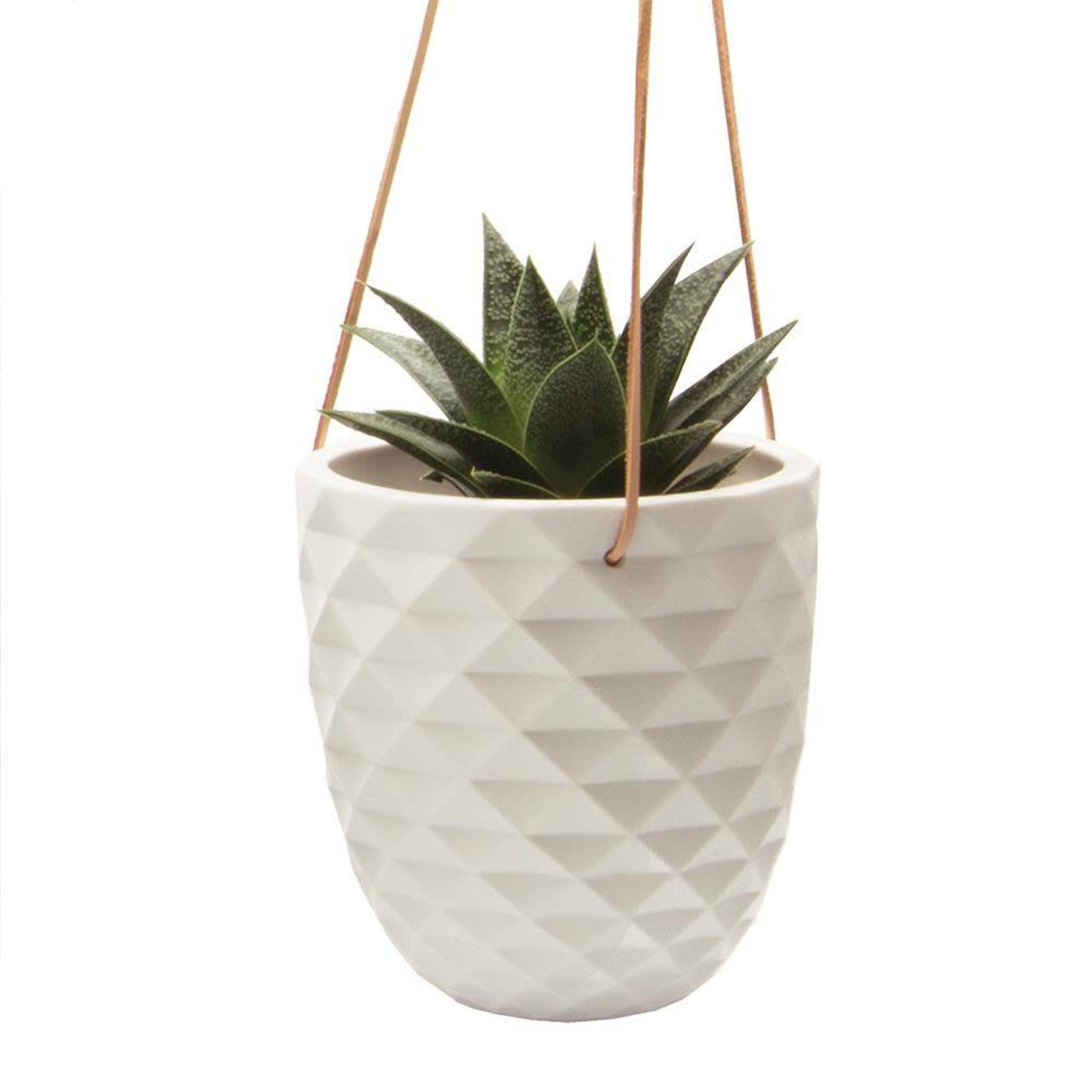 18+ Corner Hanging Planter