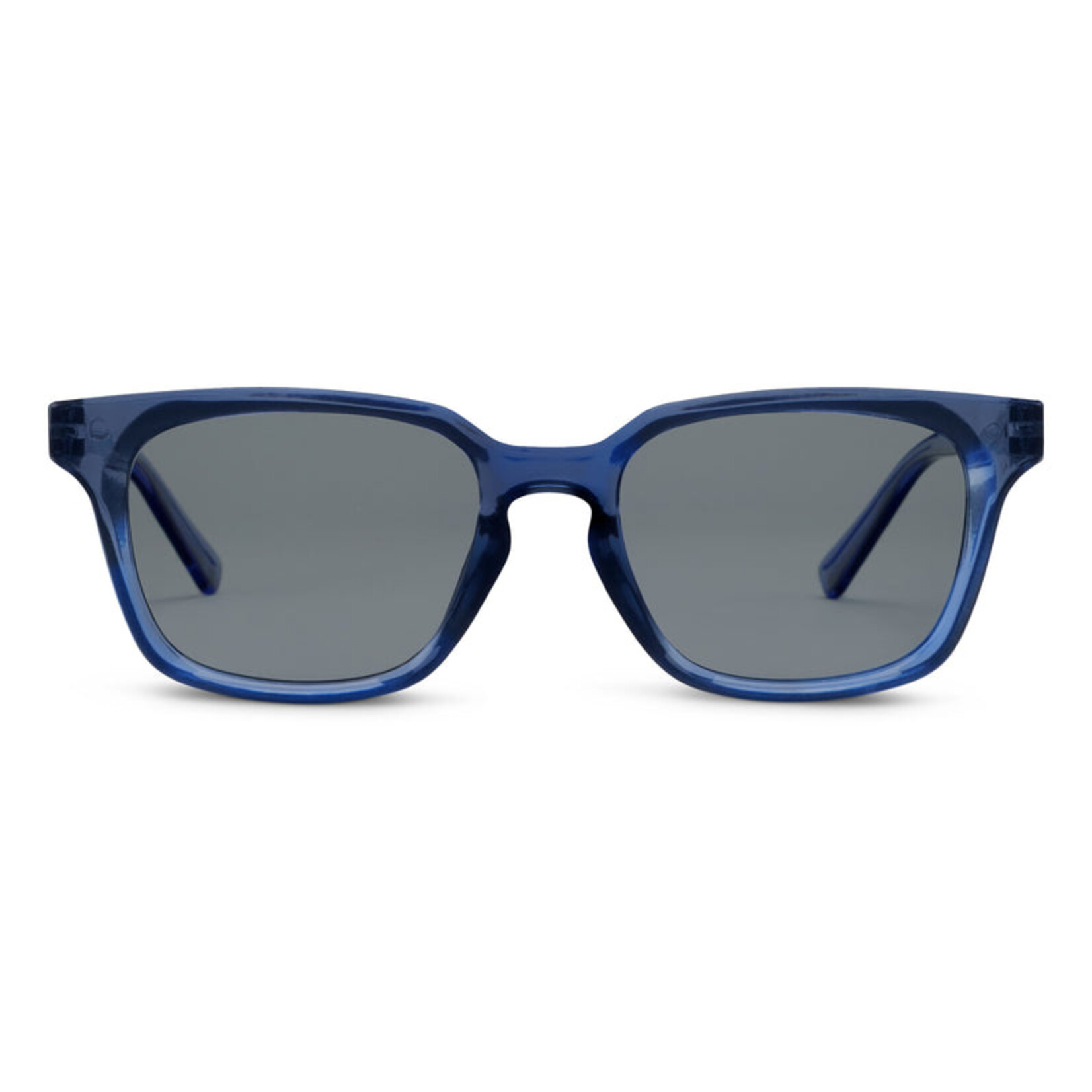 Ace Polarized Sunglasses in Blue