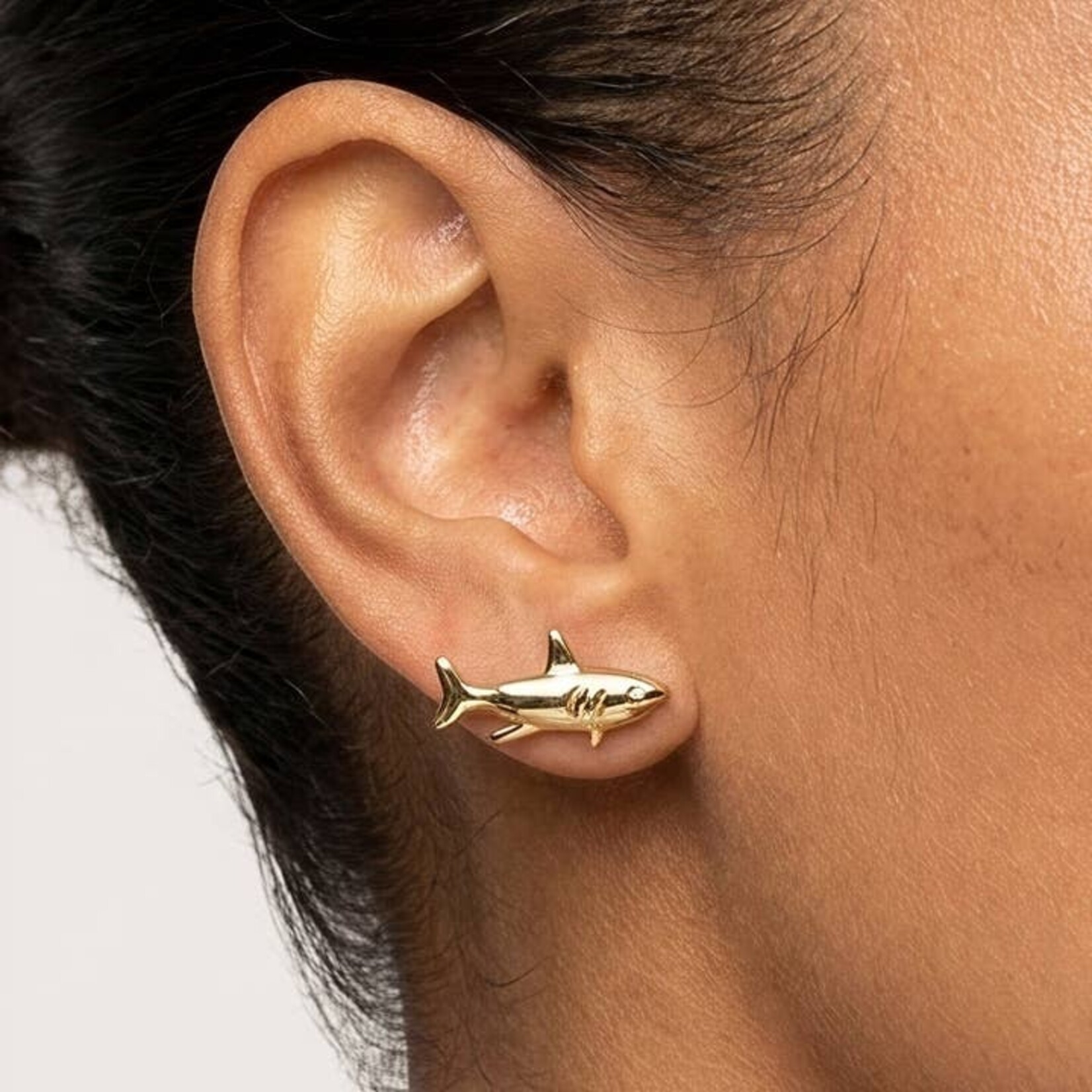 Fortune Shark Studs