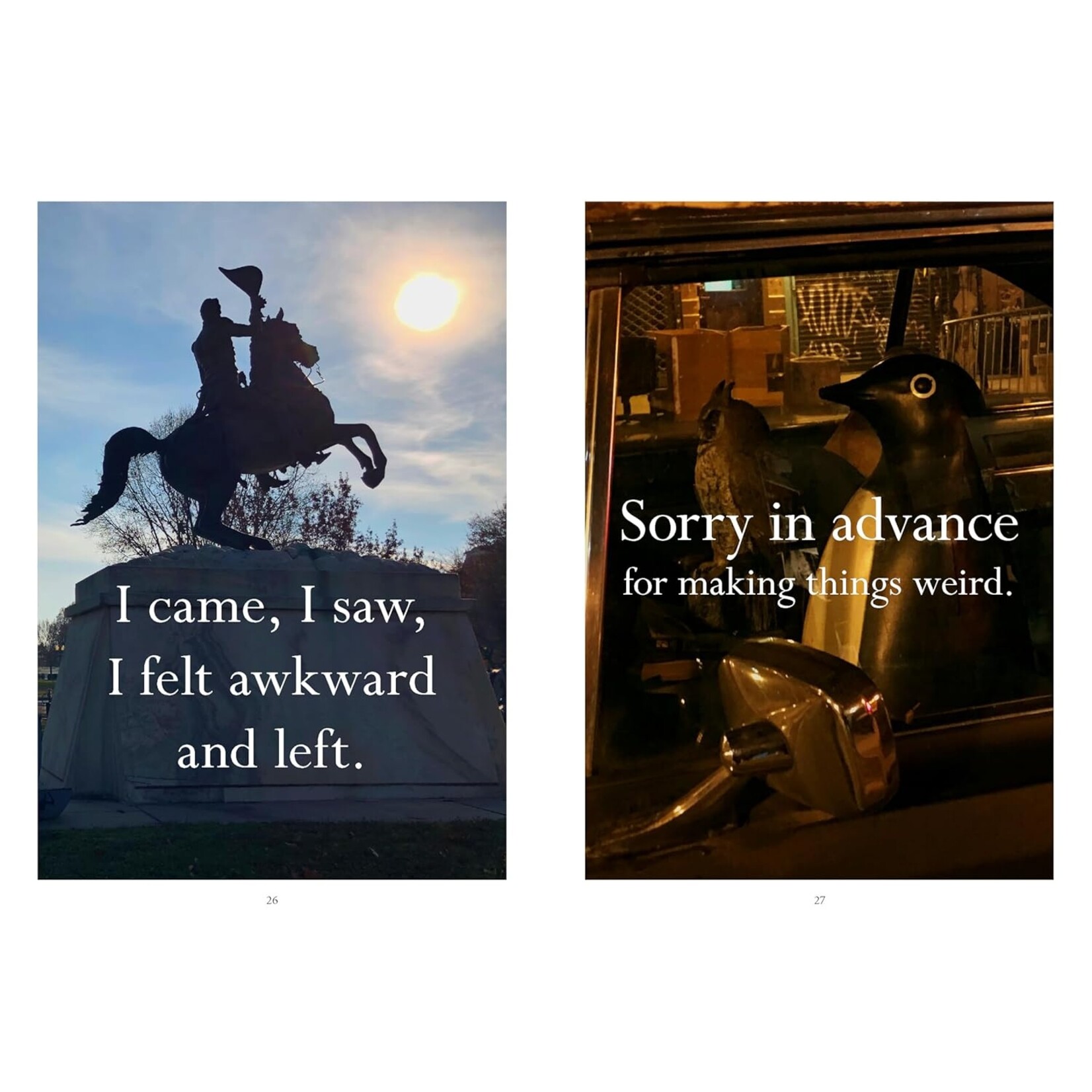 Chronicle Books Sorry in Advance for Making Things Weird