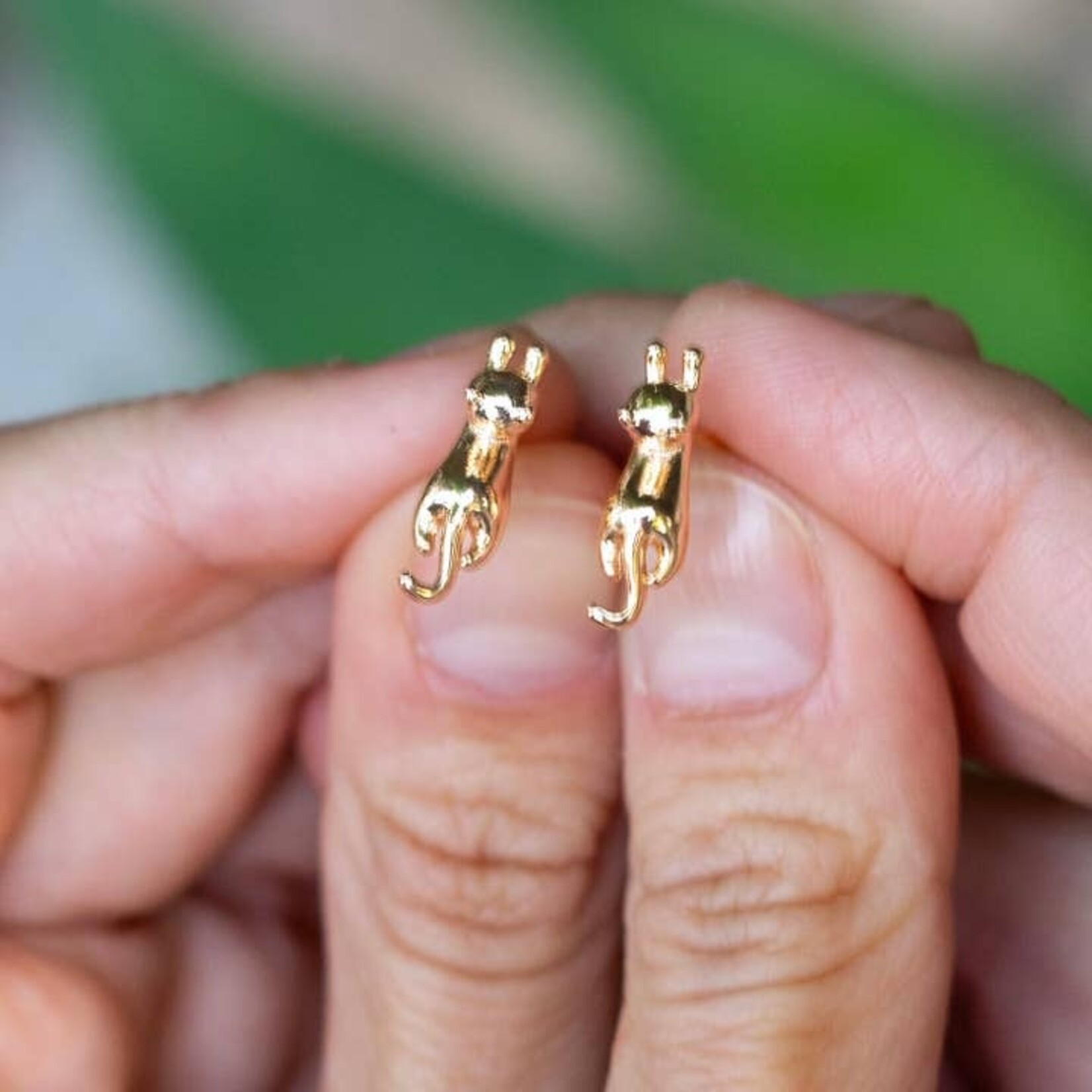 Meow Gold Studs