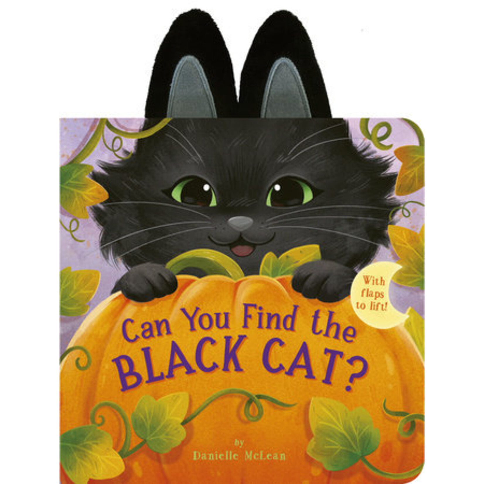 Penguin Random House Can You Find the Black Cat?