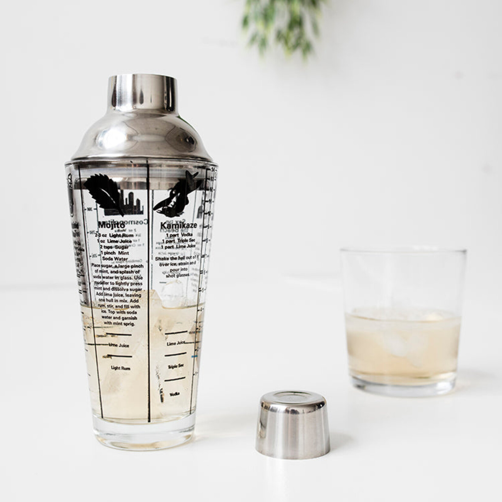Kikkerland Mix Master Cocktail Shaker