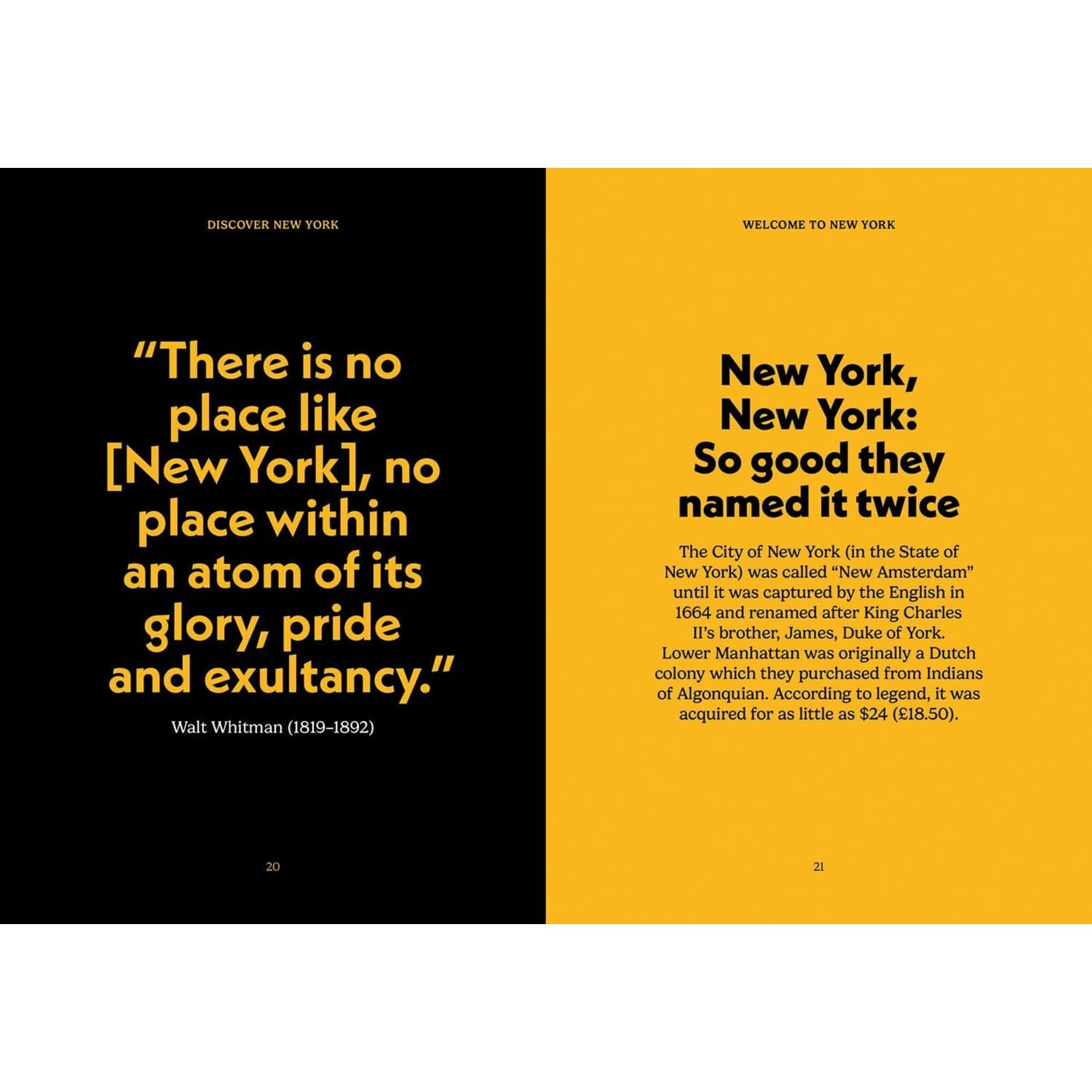 Ingram Publisher The Pocket: Discover New York