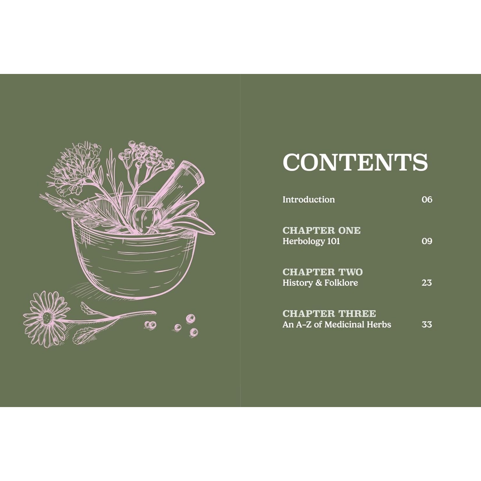 Ingram Publisher The Pocket: Herbology