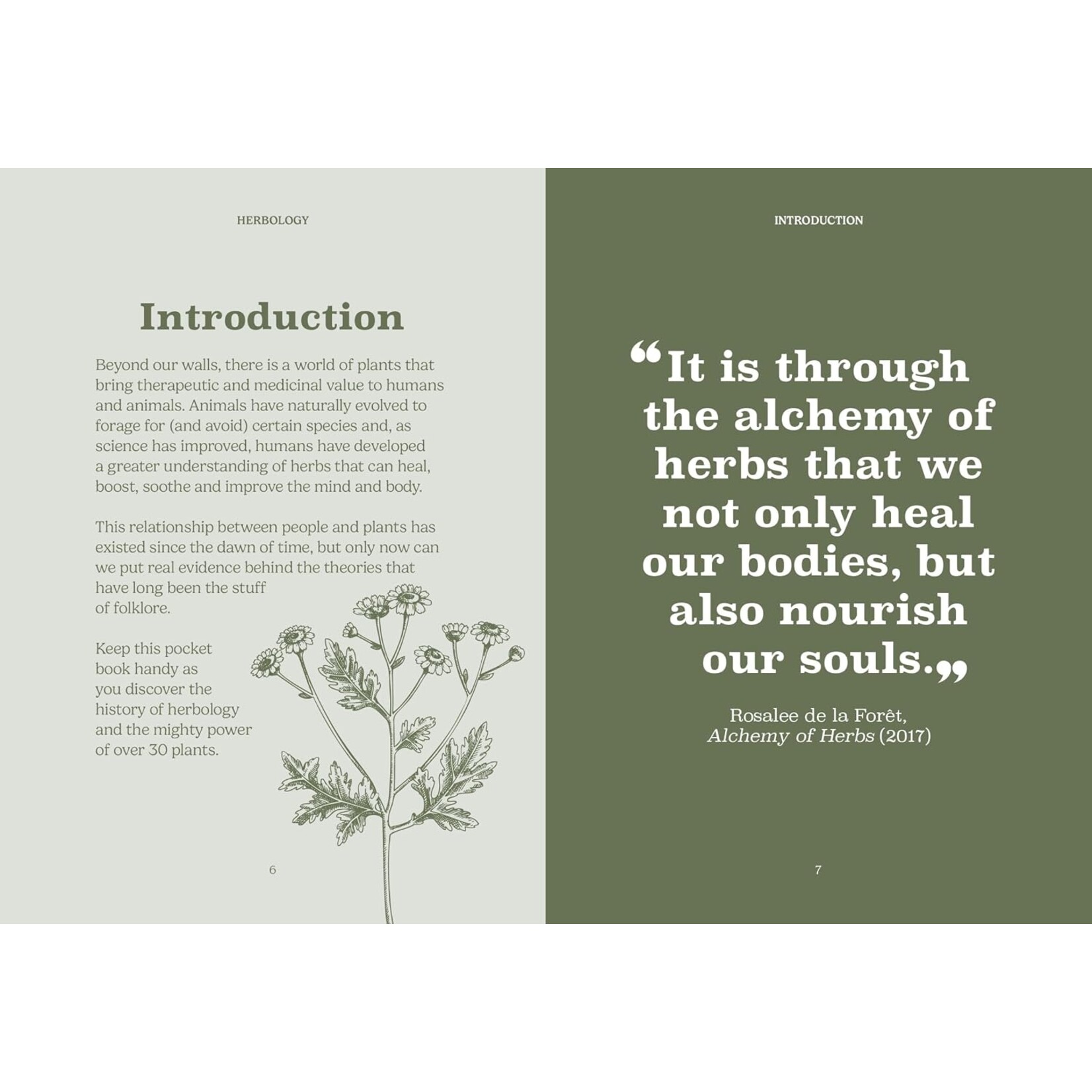 Ingram Publisher The Pocket: Herbology