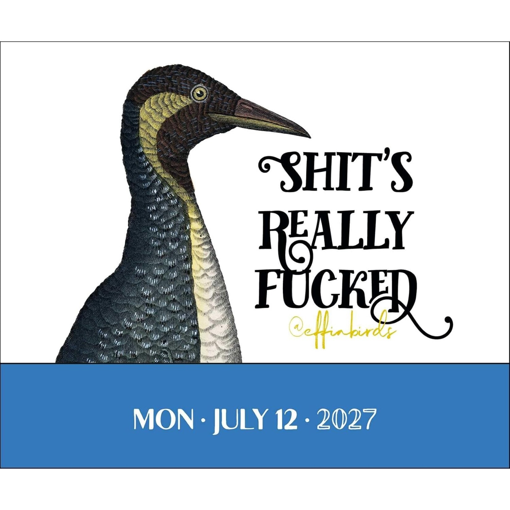 Simon and Schuster Effin' Birds  Boxed Calendar 2027