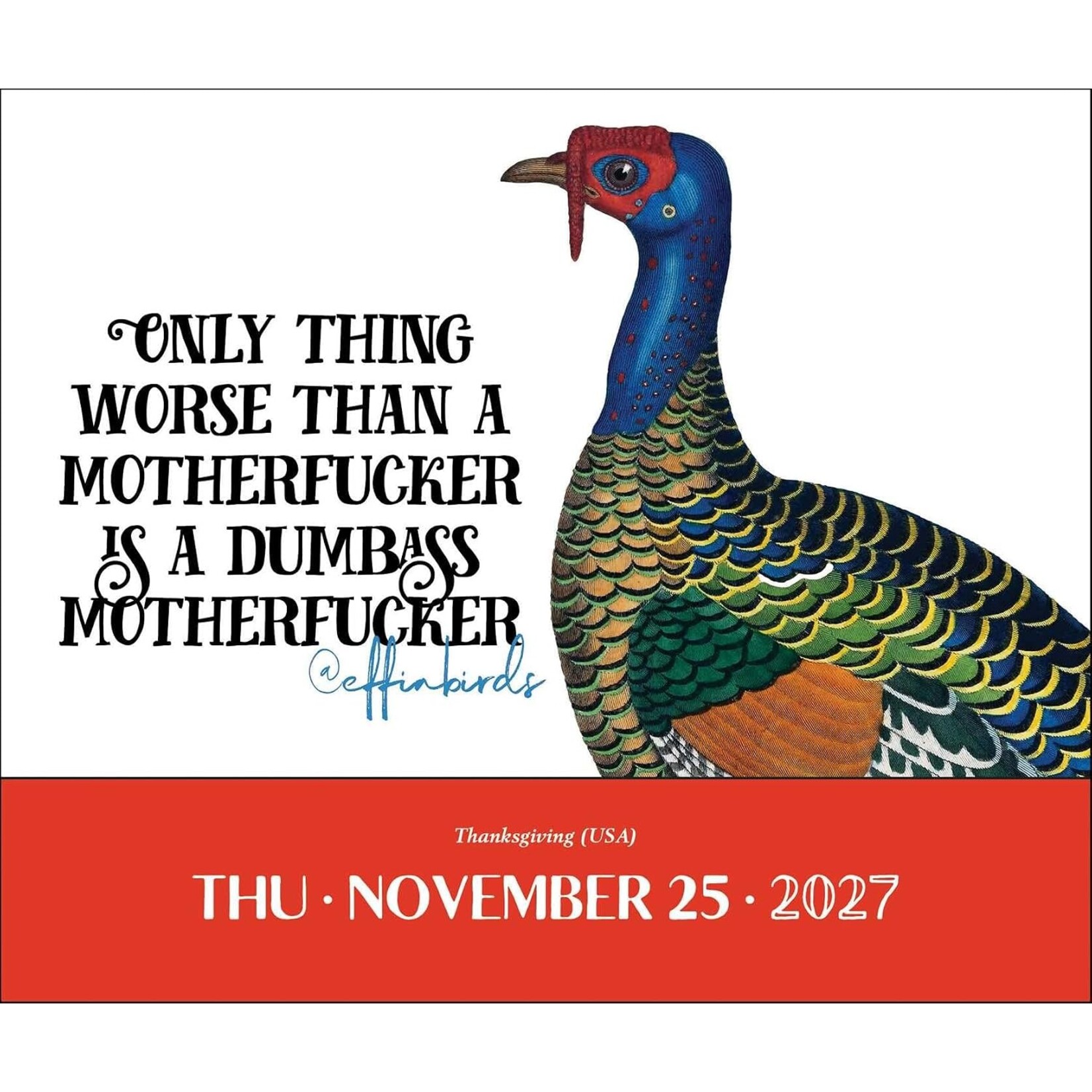 Simon and Schuster Effin' Birds  Boxed Calendar 2027