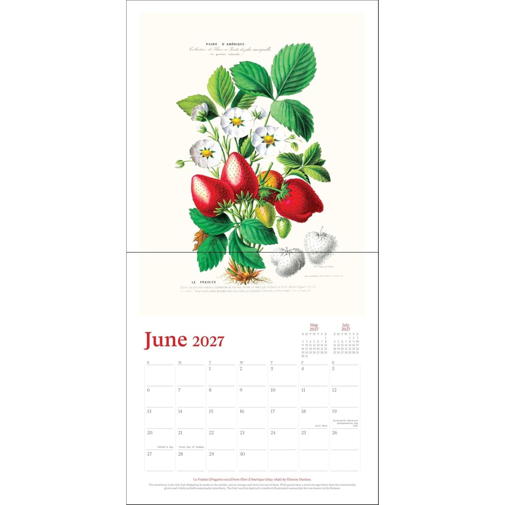 Simon and Schuster NY Botanical Garden  Wall Calendar 2027