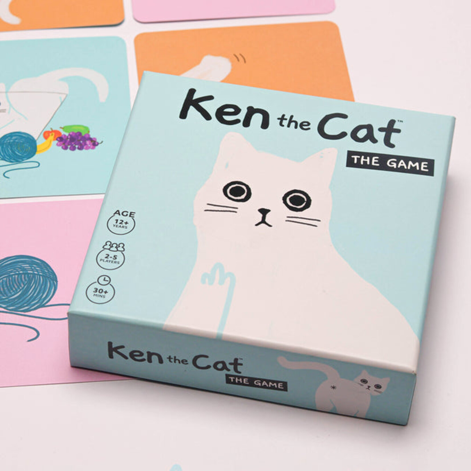 Pikkii Ken the Cat Game