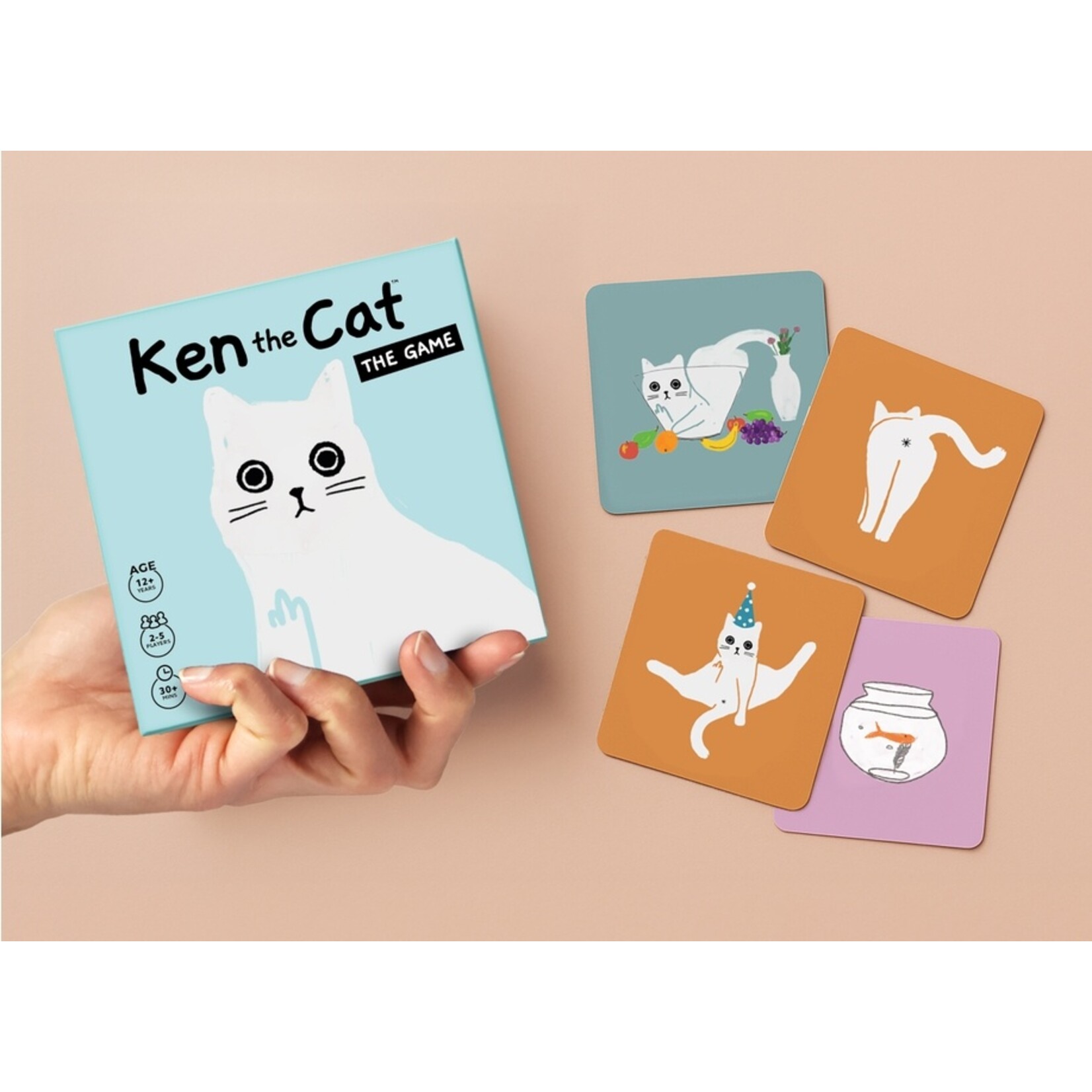 Pikkii Ken the Cat Game