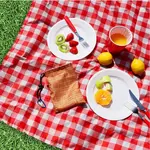 Kikkerland Gingham Picnic Blanket