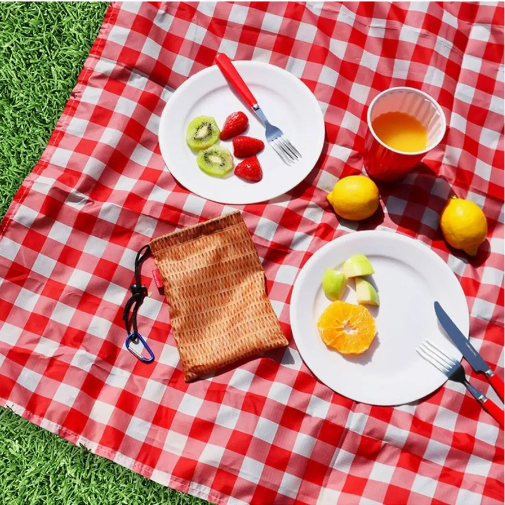 Kikkerland Gingham Picnic Blanket