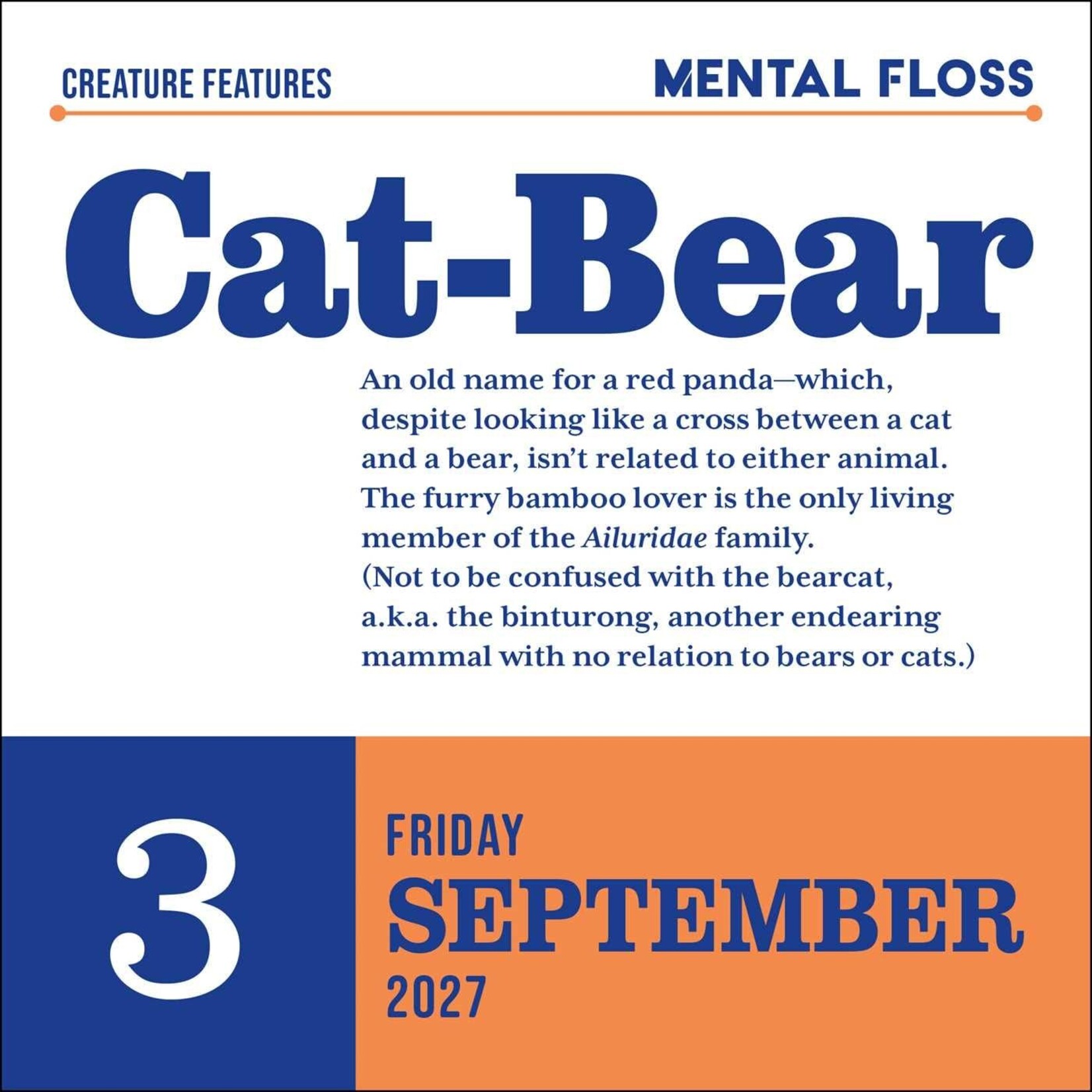 Word Nerd Day to Day Desk Calendar 2027