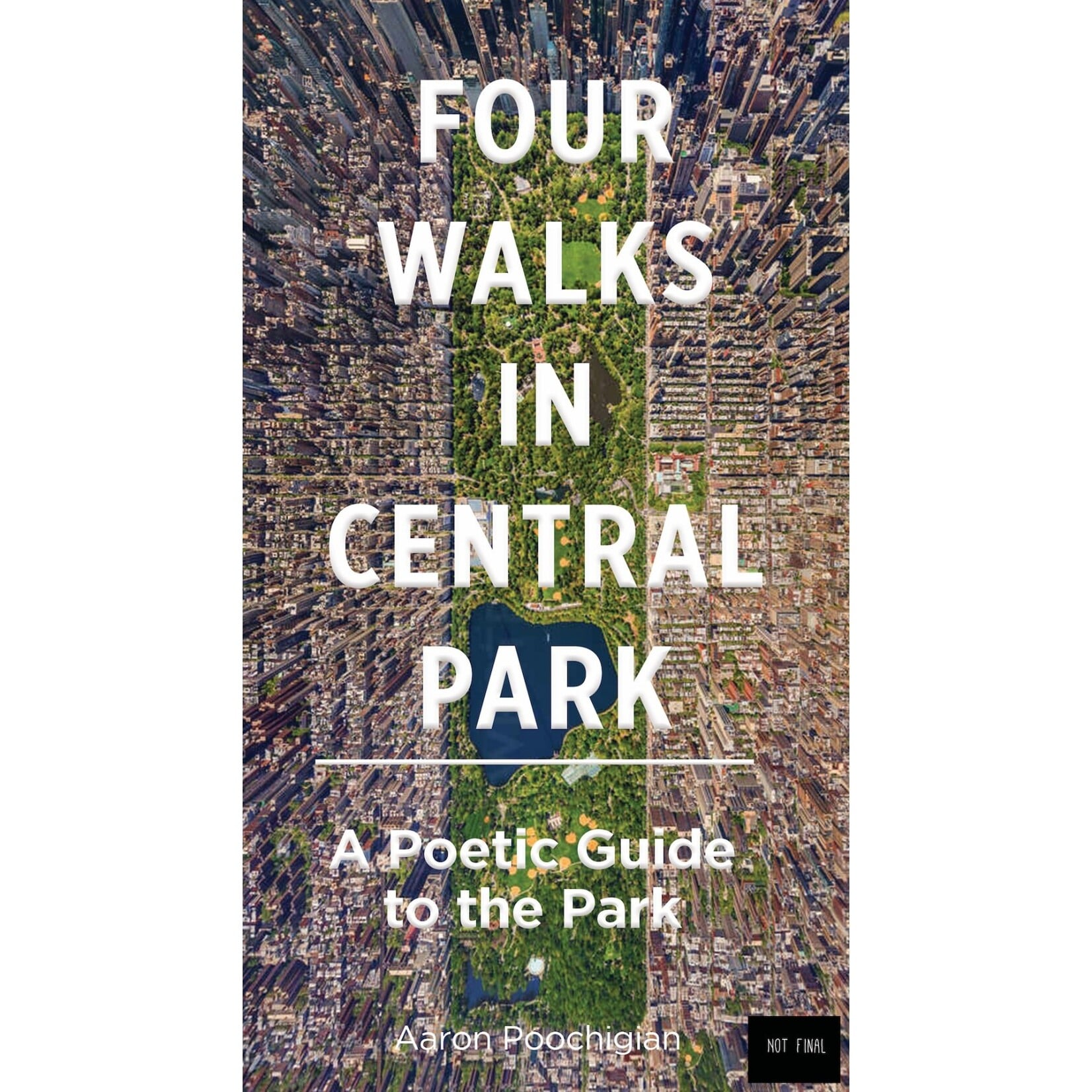 Abrams Four Walks in Central Park