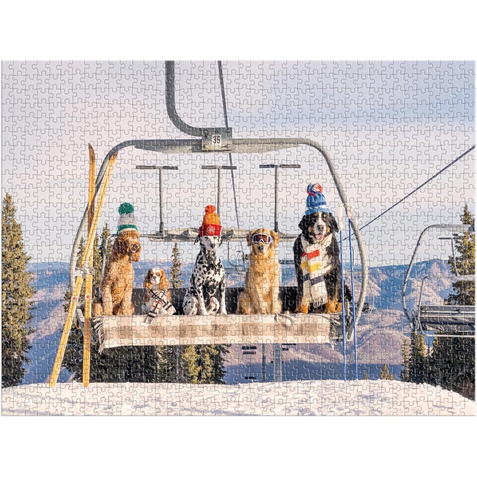 Chronicle Books Gray Malin Aspen Book Box Puzzle