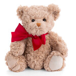 Christian Bear