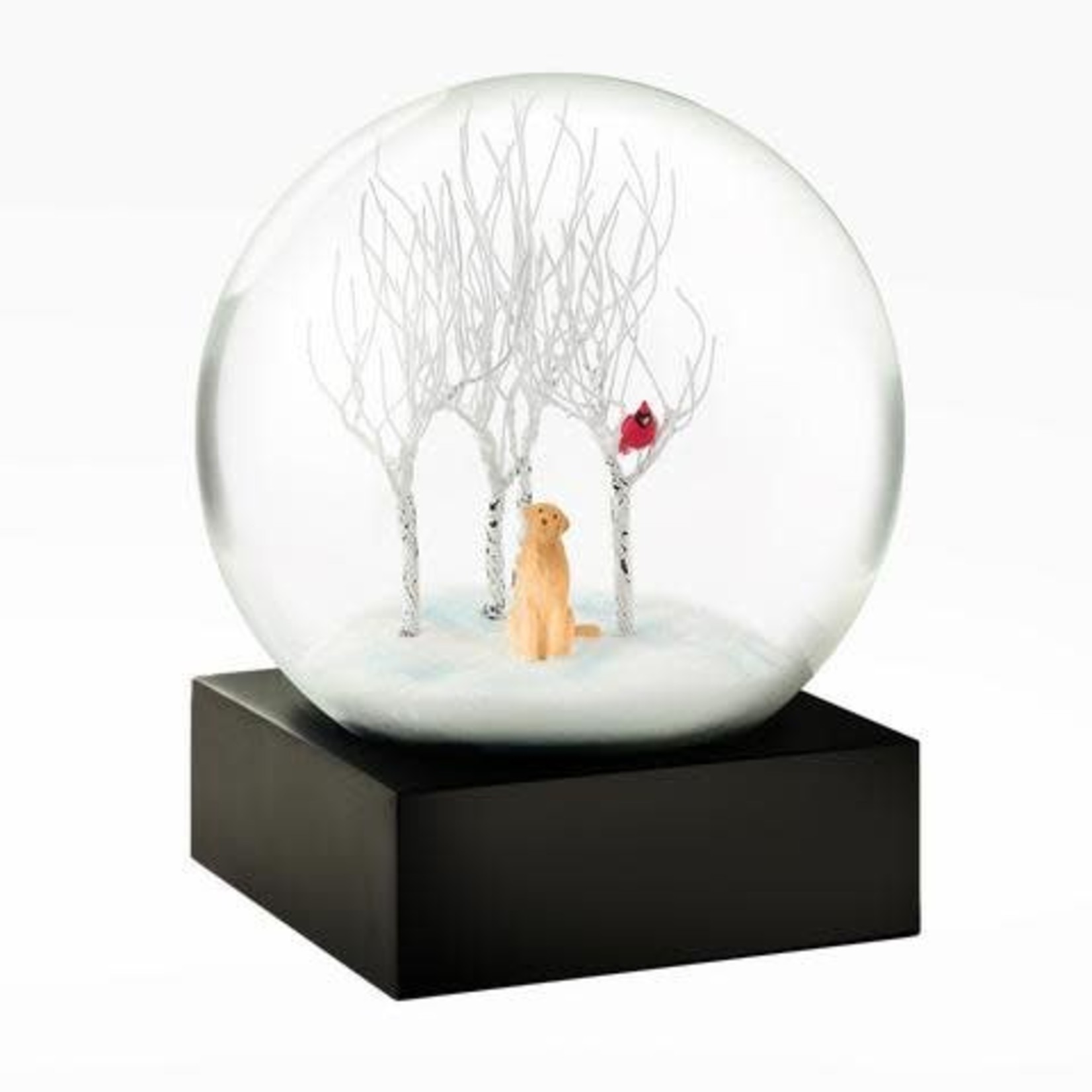 Cool Snow Globes Cool Snow Globe