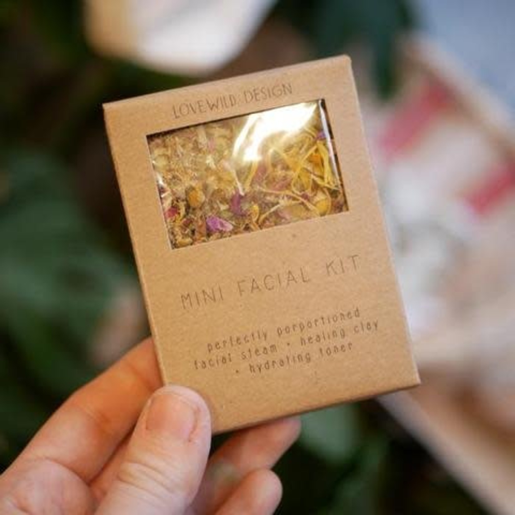 Lovewild Designs Mini Facial Kit