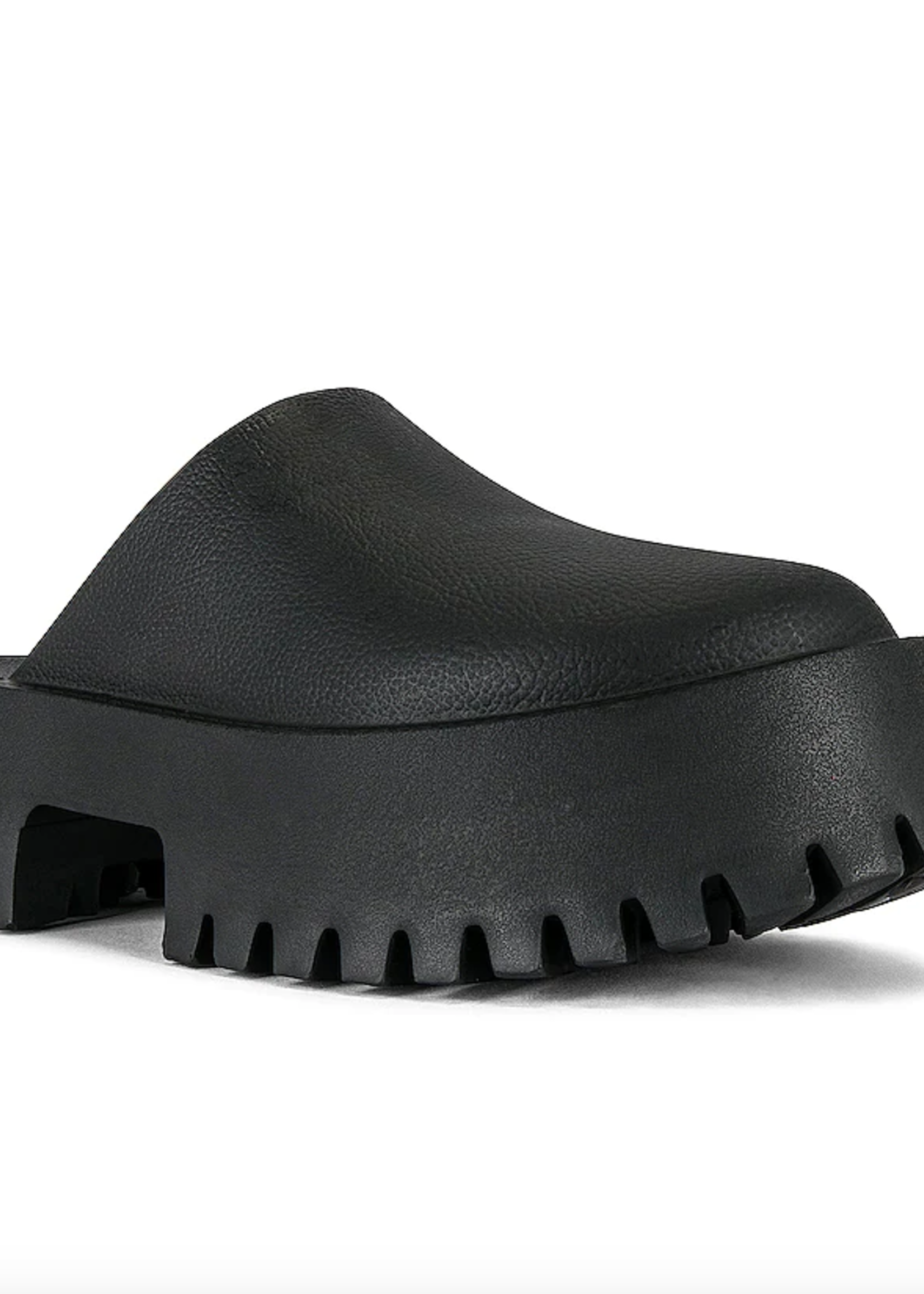 JEFFREY CAMPBELL CLOGG