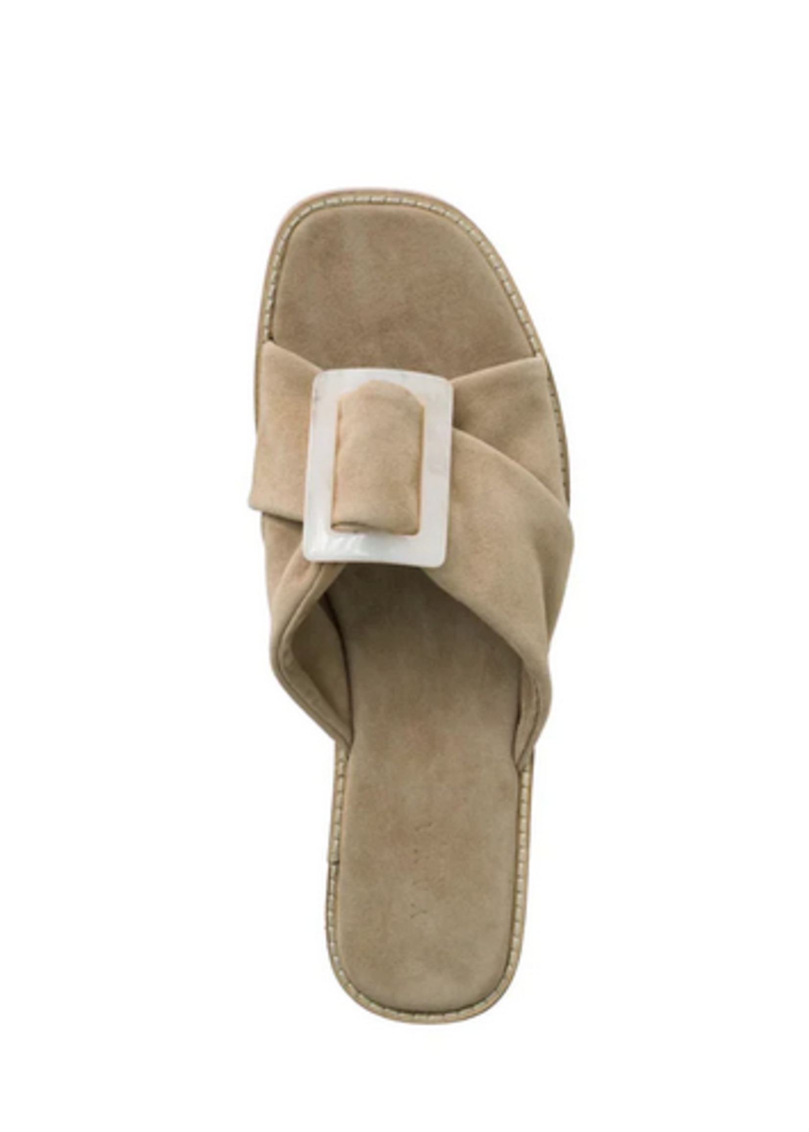 YAYA SUEDE SLIPPER WITH BUCKLE