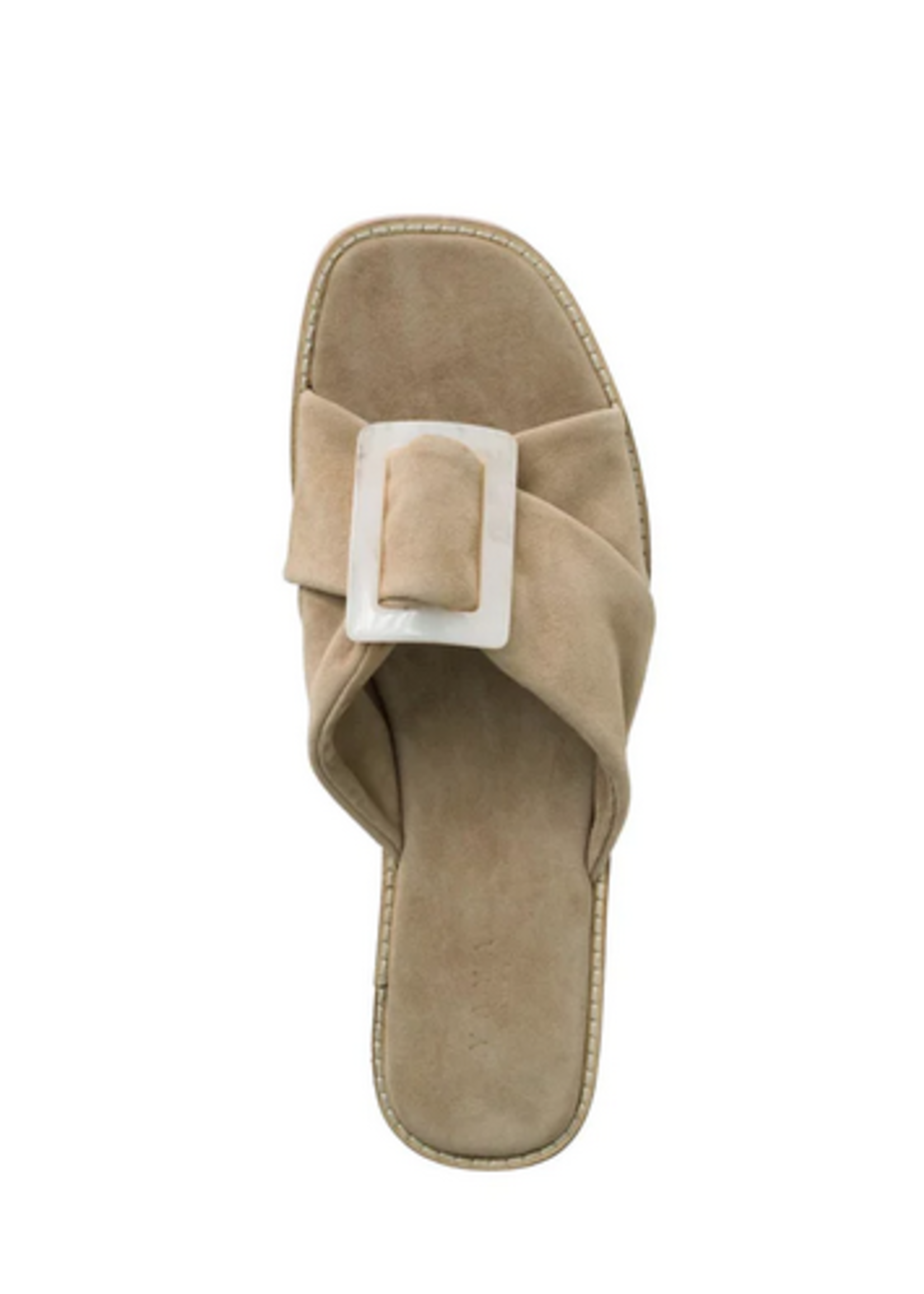 YAYA THE BRAND SUEDE SLIPPER WITH BUCKLE