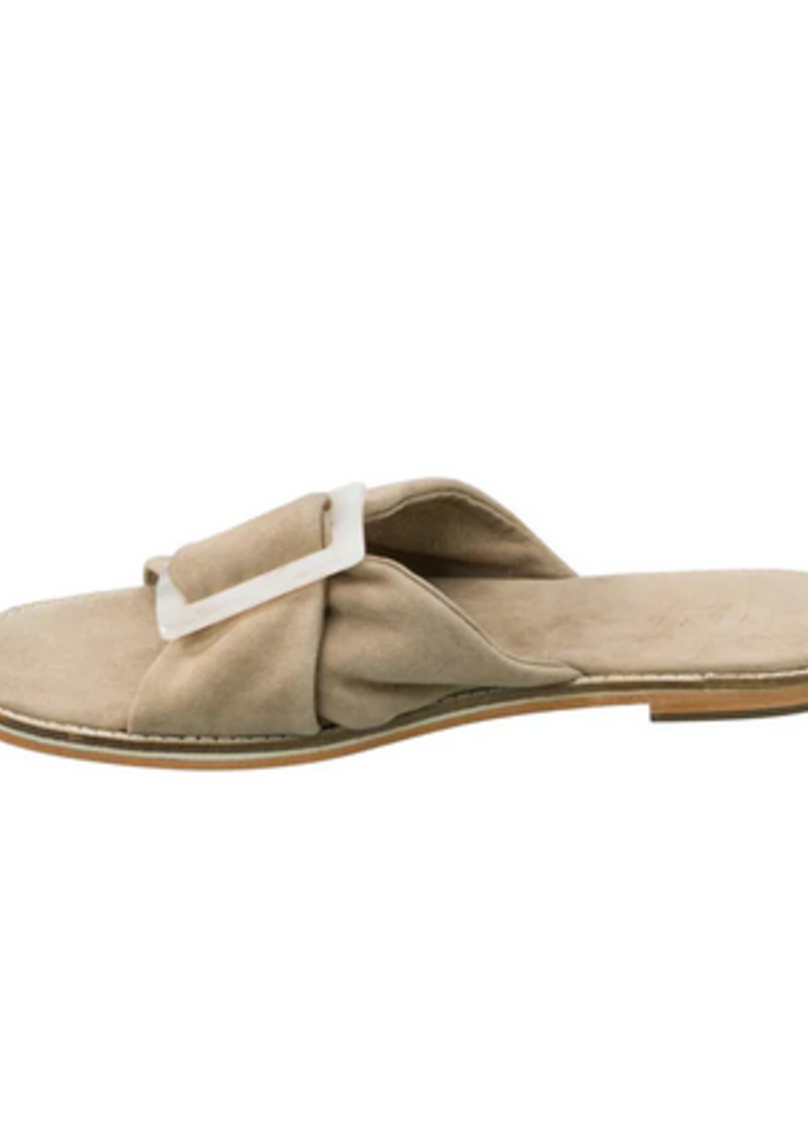 YAYA THE BRAND SUEDE SLIPPER WITH BUCKLE