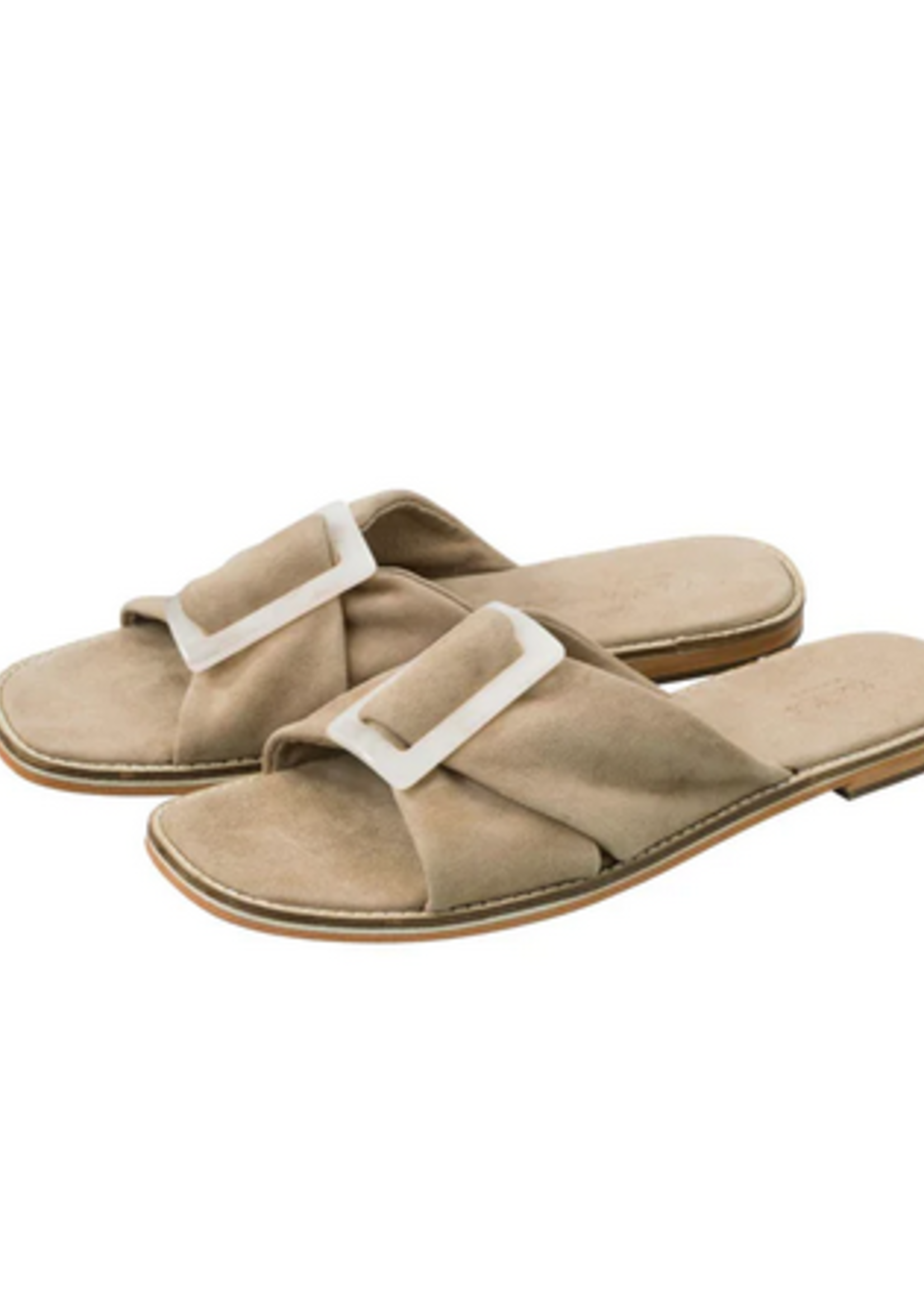 Suede Slipper With Buckle - LA CABOTTINE |