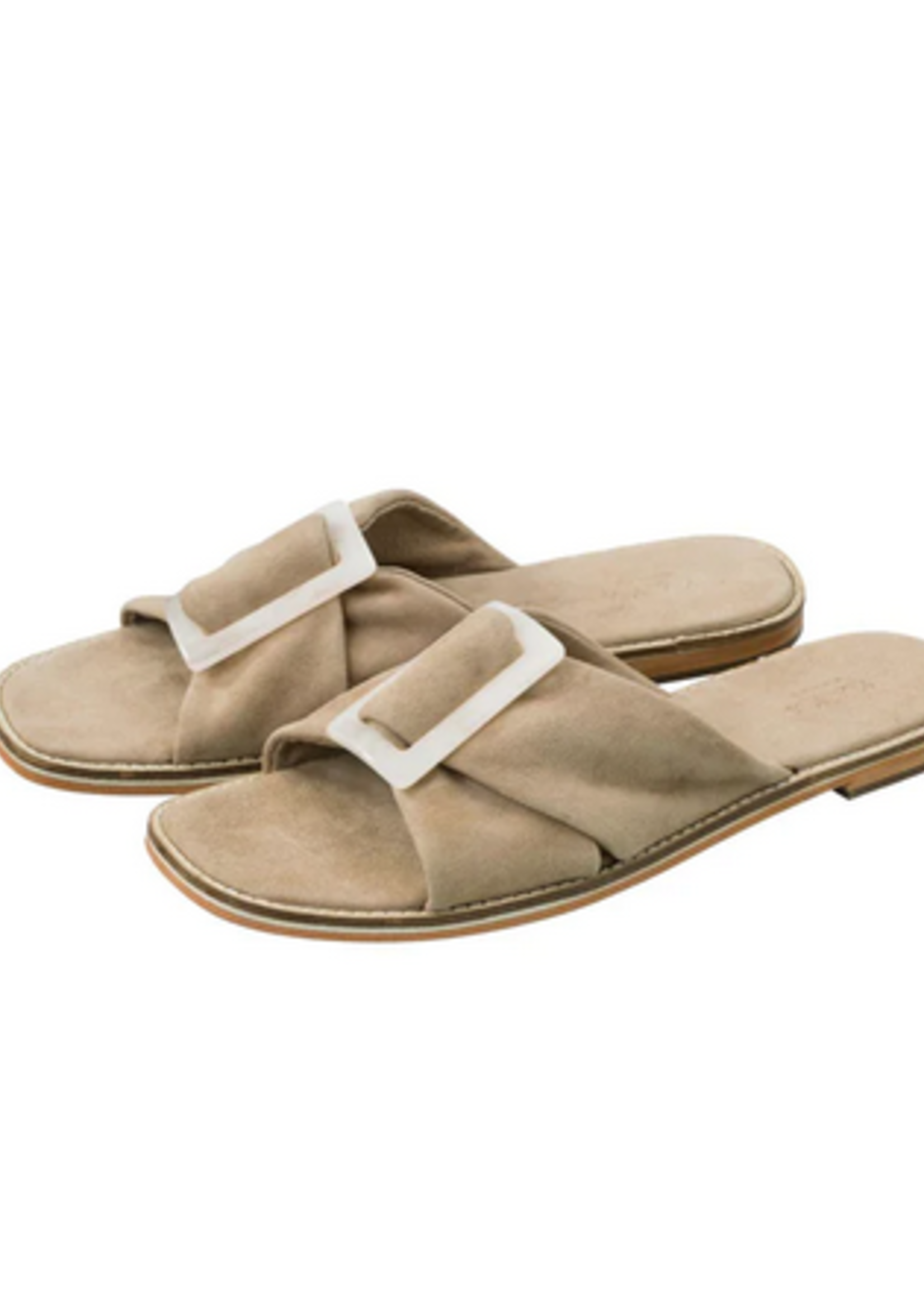 YAYA THE BRAND SUEDE SLIPPER WITH BUCKLE