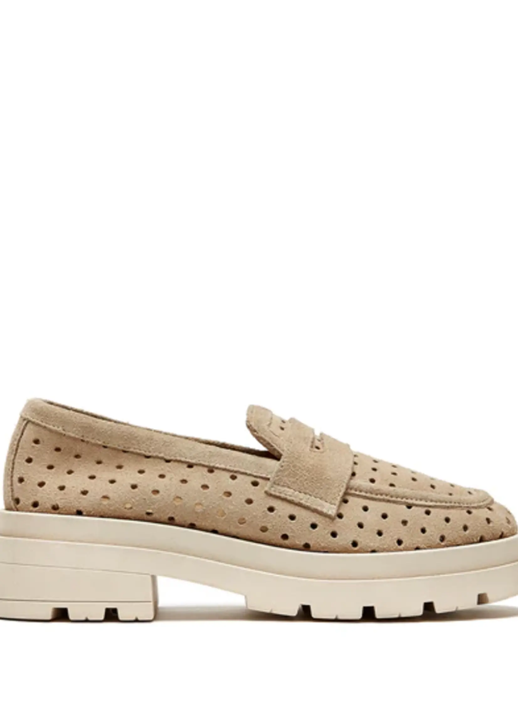 SISTER X SOEUR GRATA