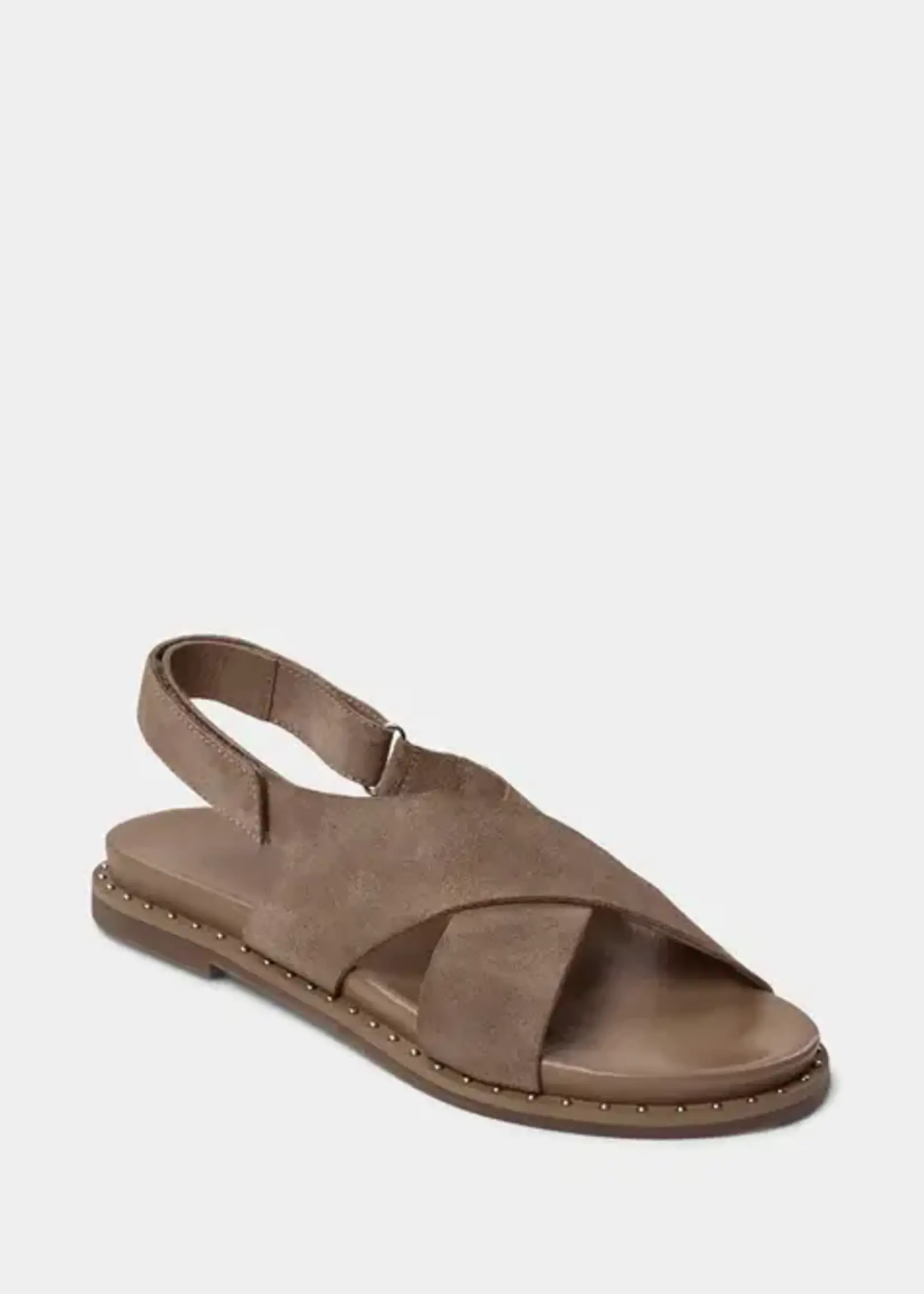 SOFIE SCHNOOR S242707