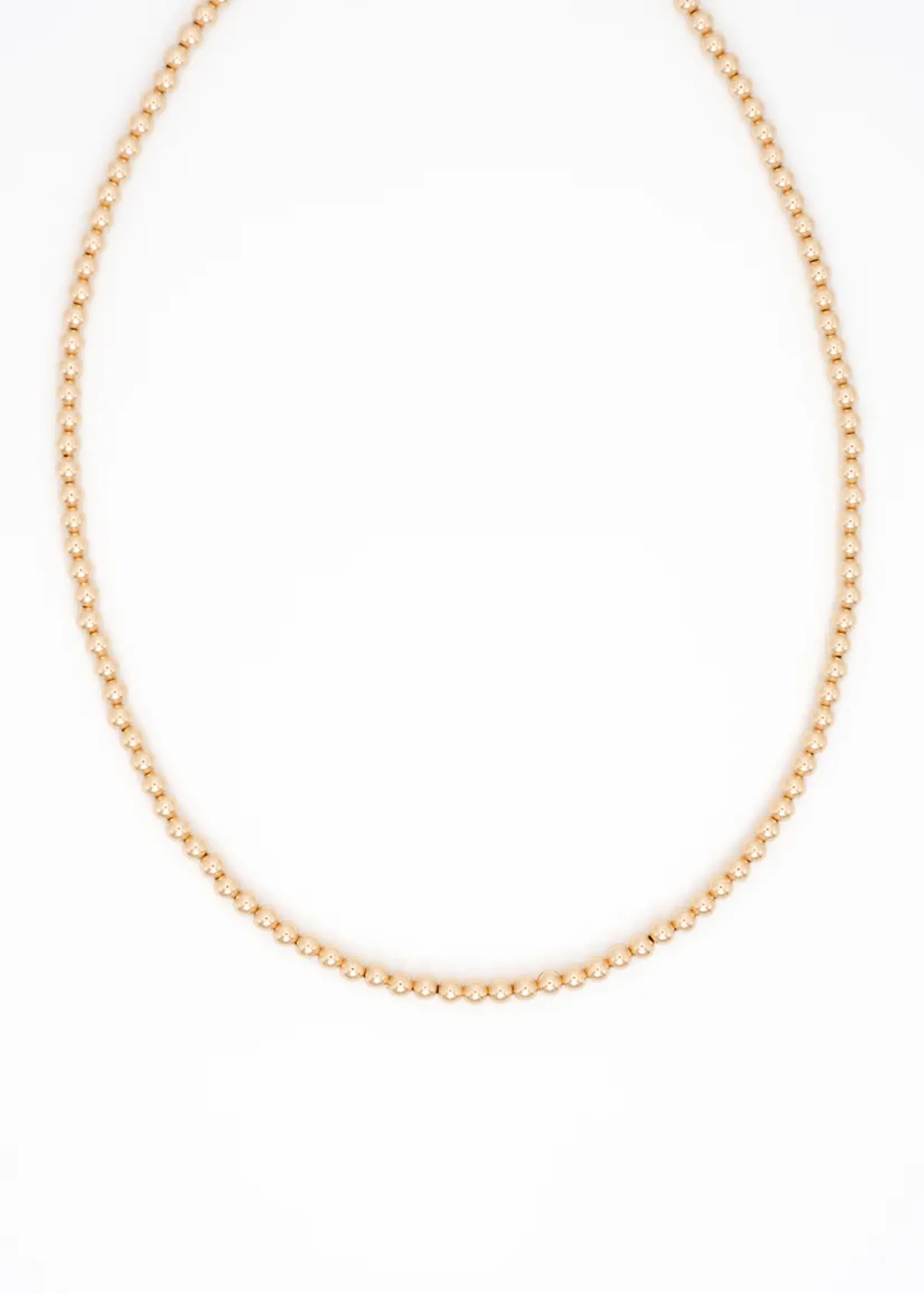 FLORA CICCARELLI 25P-204