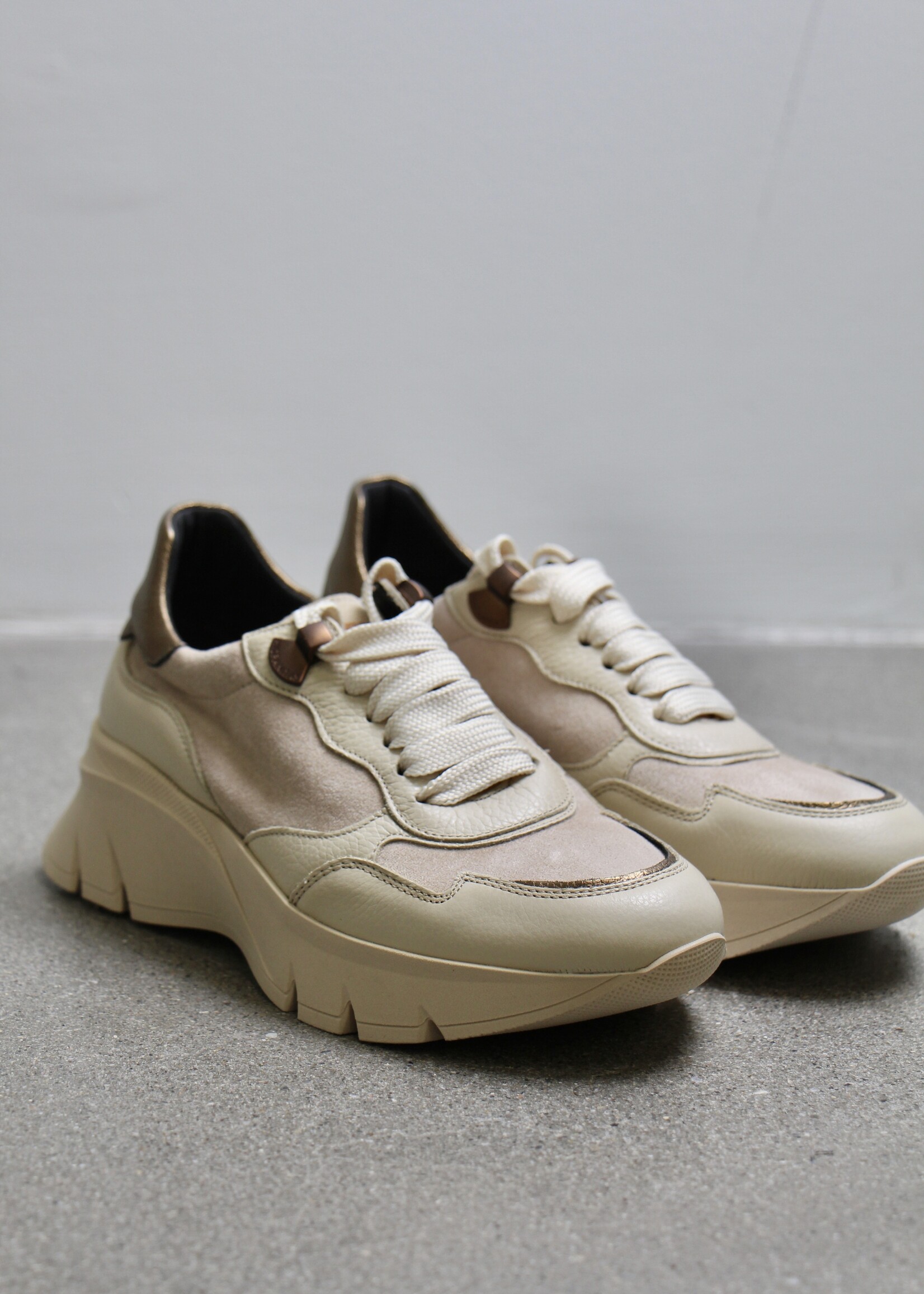 HISPANITAS HELSINKI-HI253617