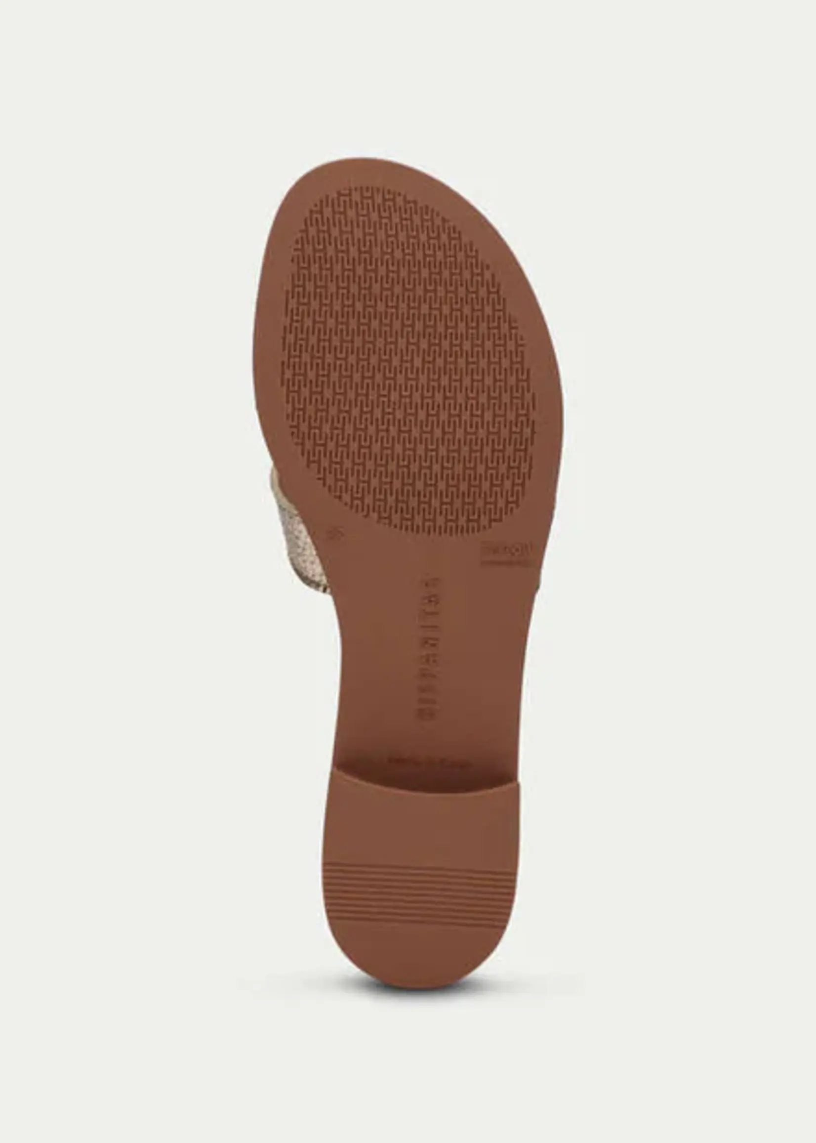 HISPANITAS YAKARTA - HV263881