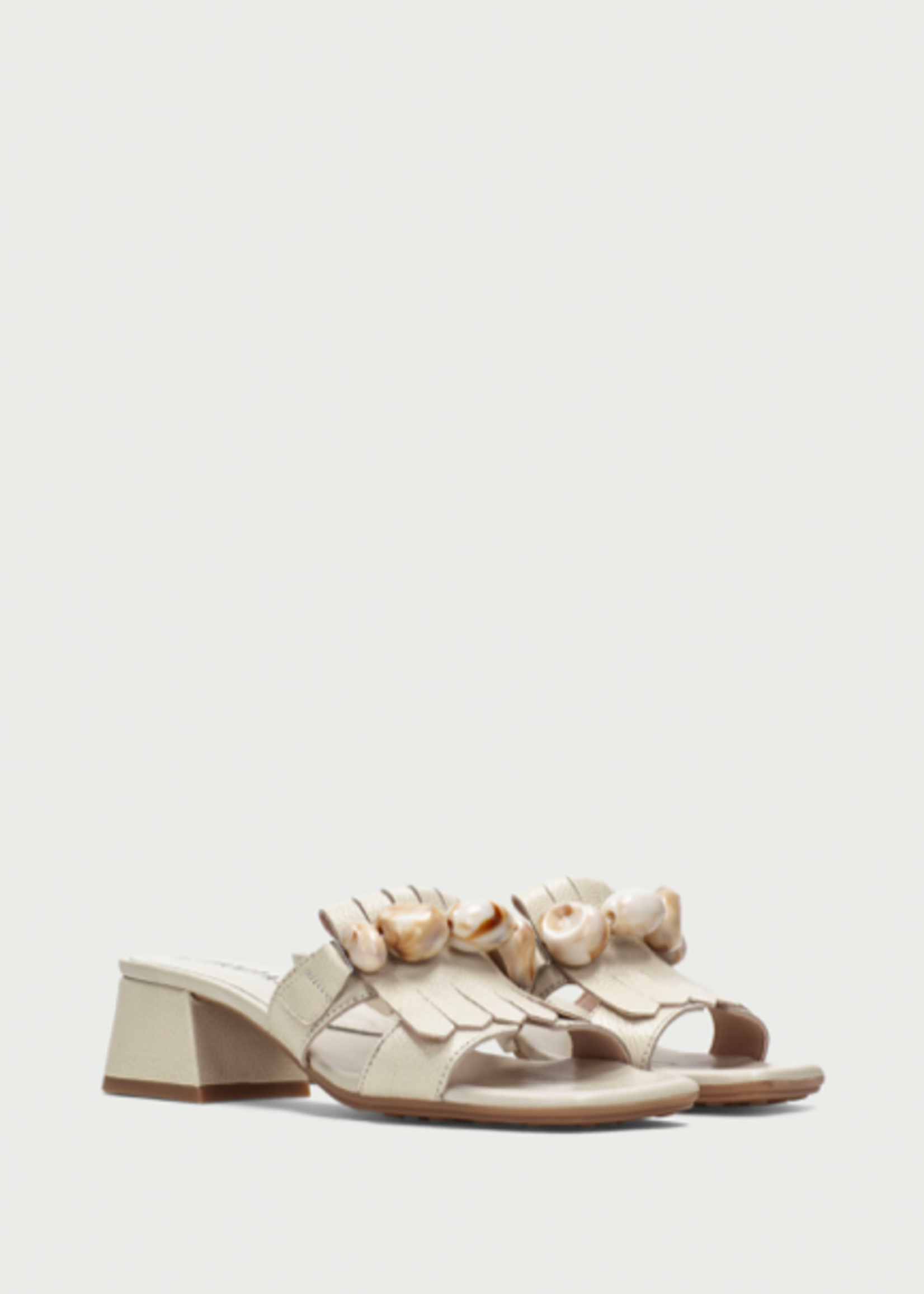 HISPANITAS DALLAS-HV264077