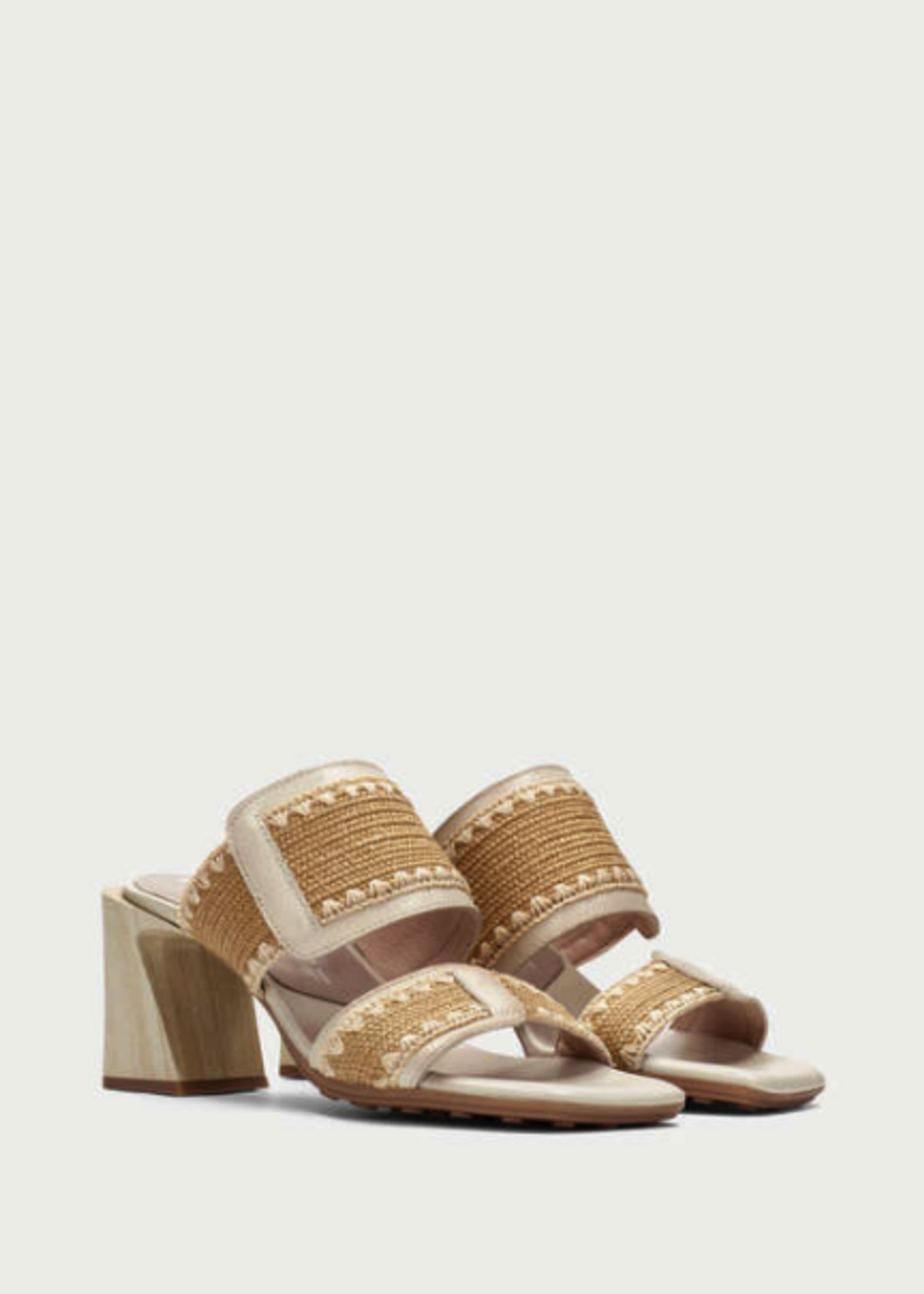 HISPANITAS MIAMI - HV264043