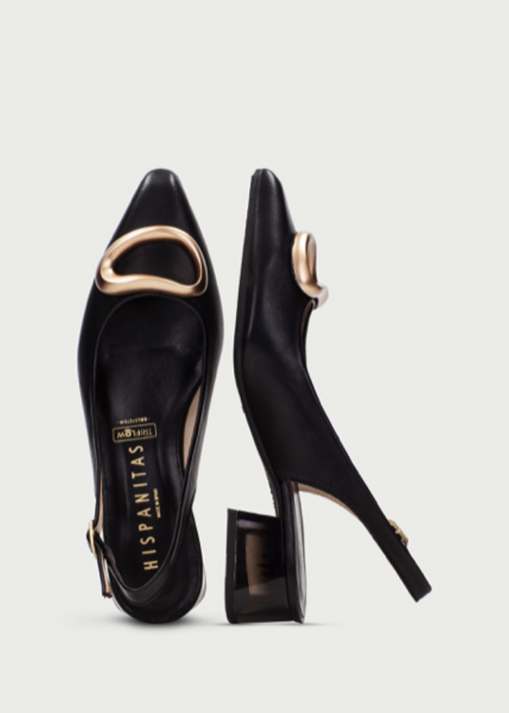 HISPANITAS SAHARA - HV 264563