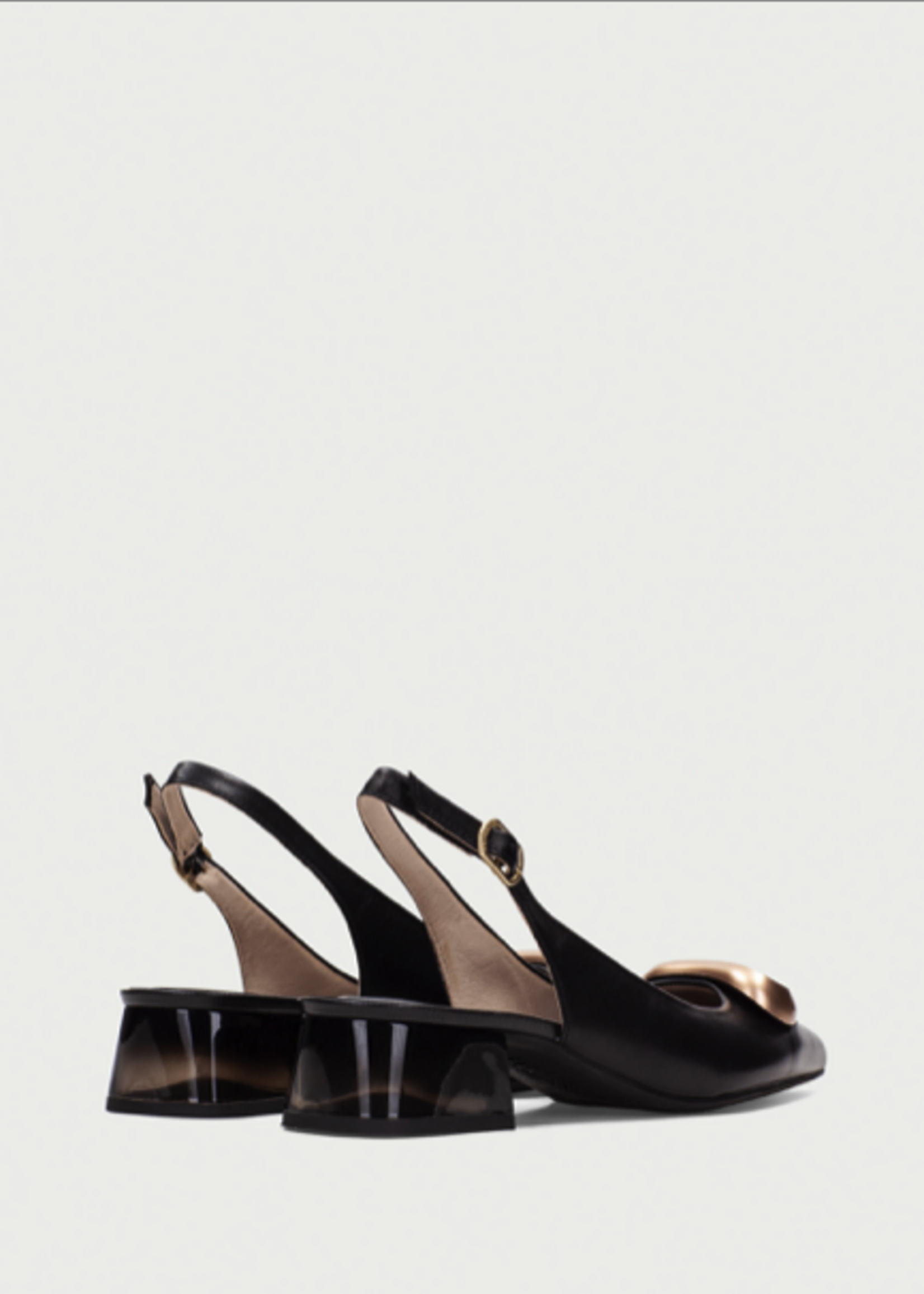 HISPANITAS SAHARA - HV 264563