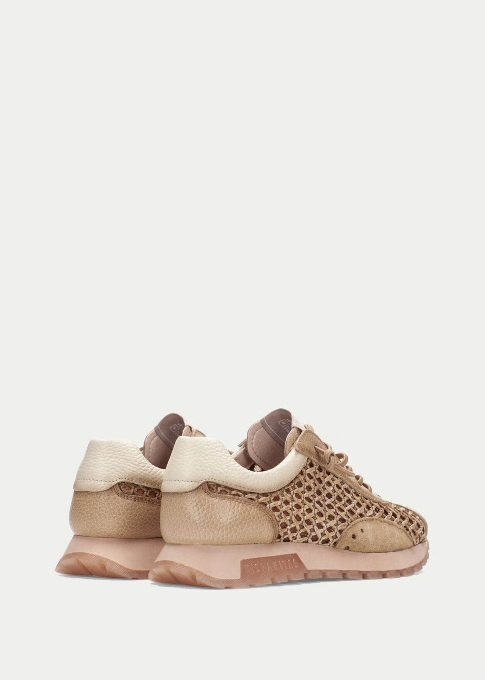 HISPANITAS OREGON-RHV264741