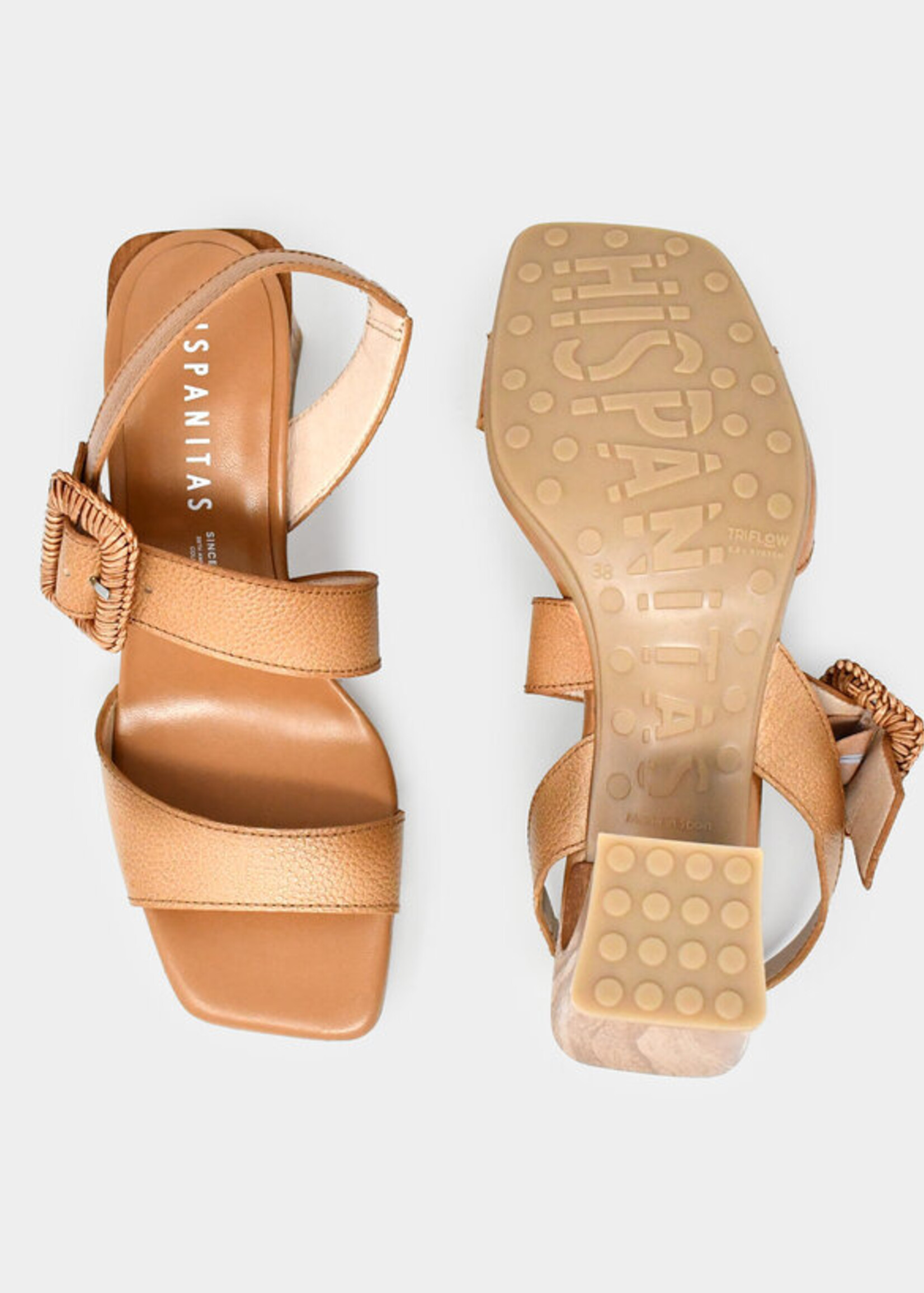 HISPANITAS MIAMI-HV263908