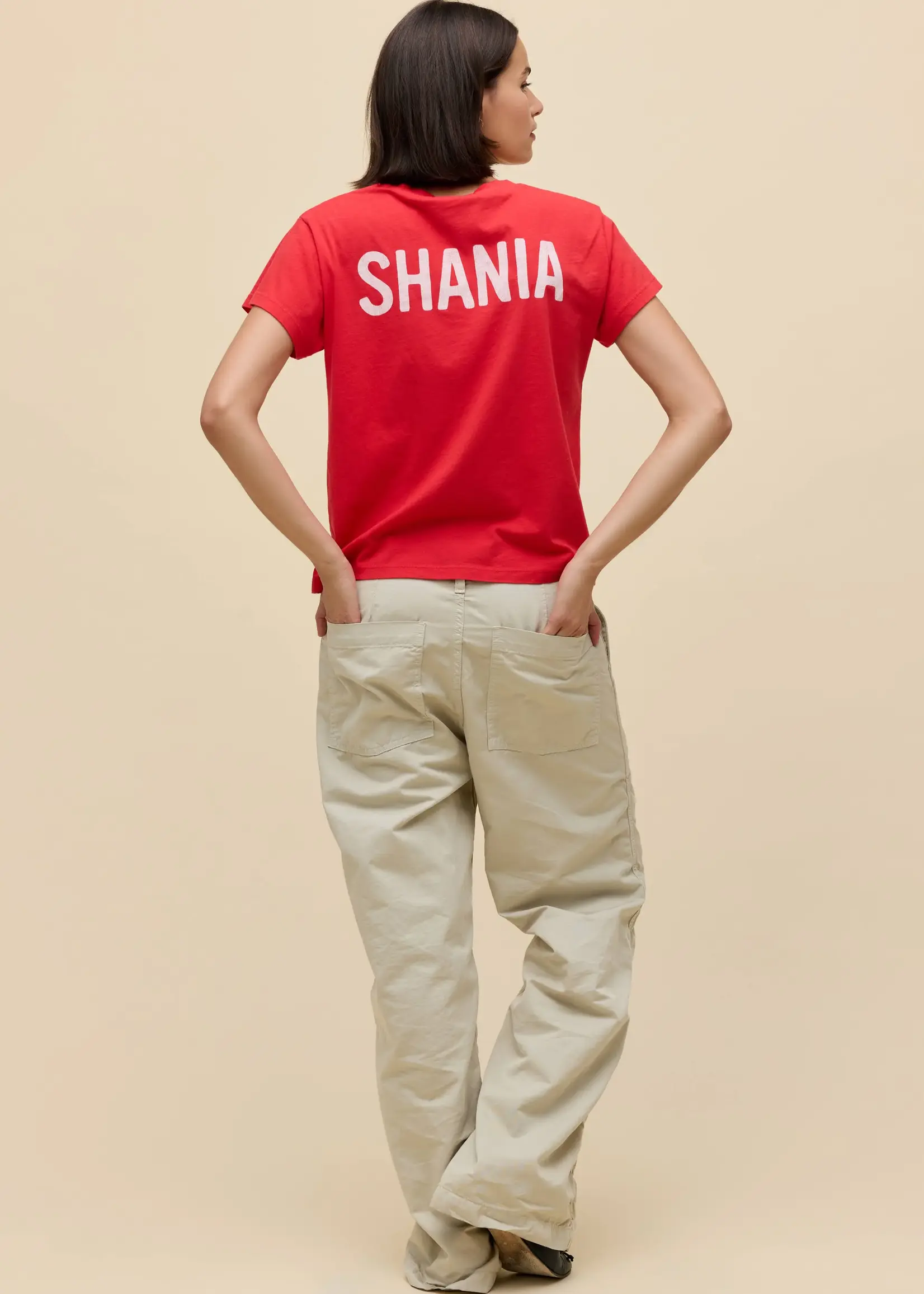 DAYDREAMER SHANIA TWAIN