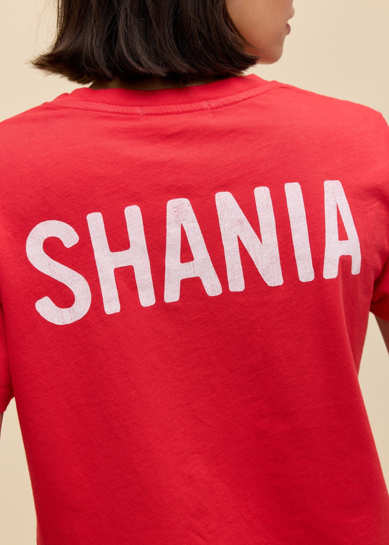 DAYDREAMER SHANIA TWAIN