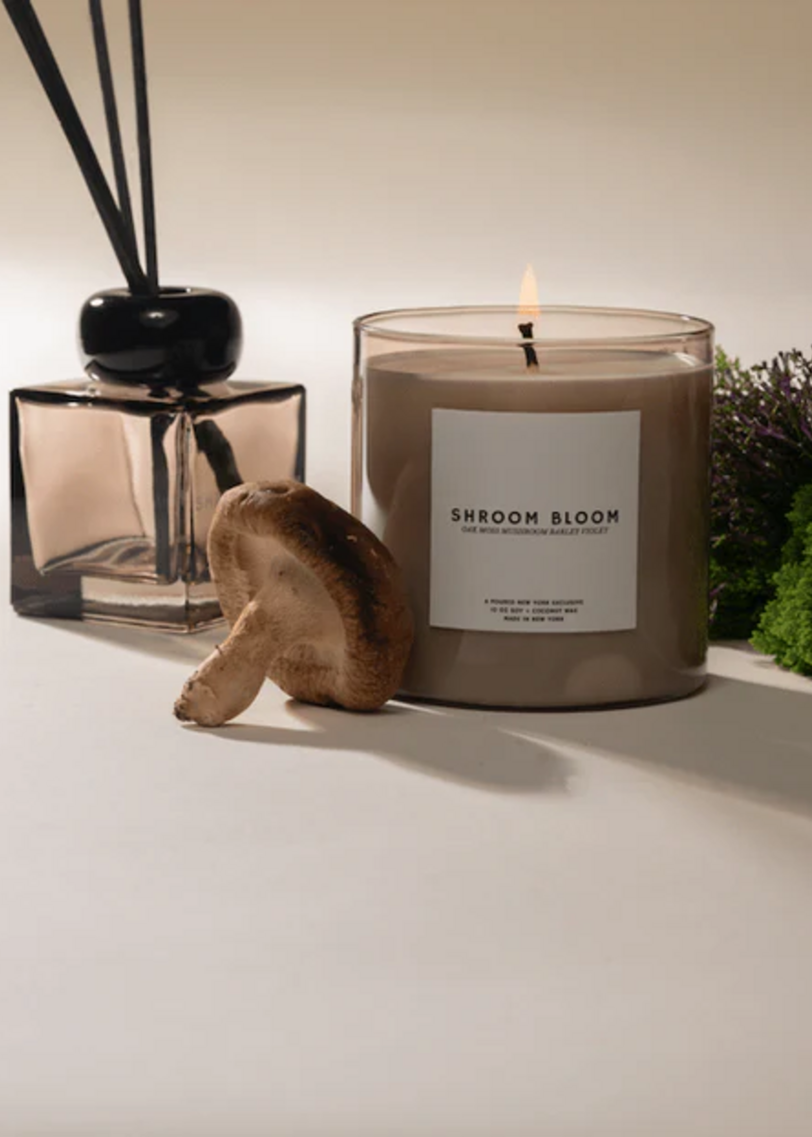 POURED NEW YORK SHROOM BLOOM - REED DIFFUSEUR